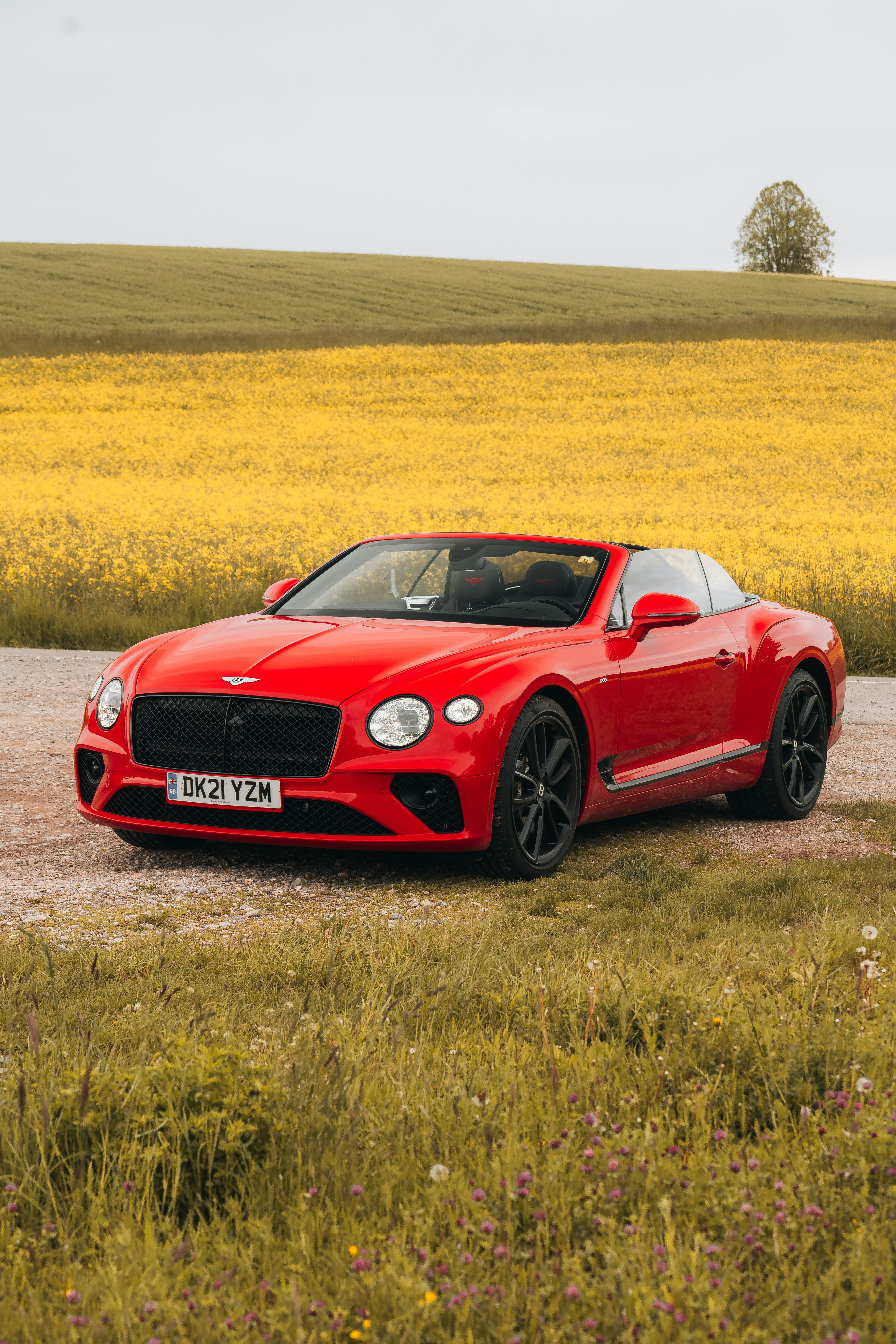 Photo by jonasrhyner