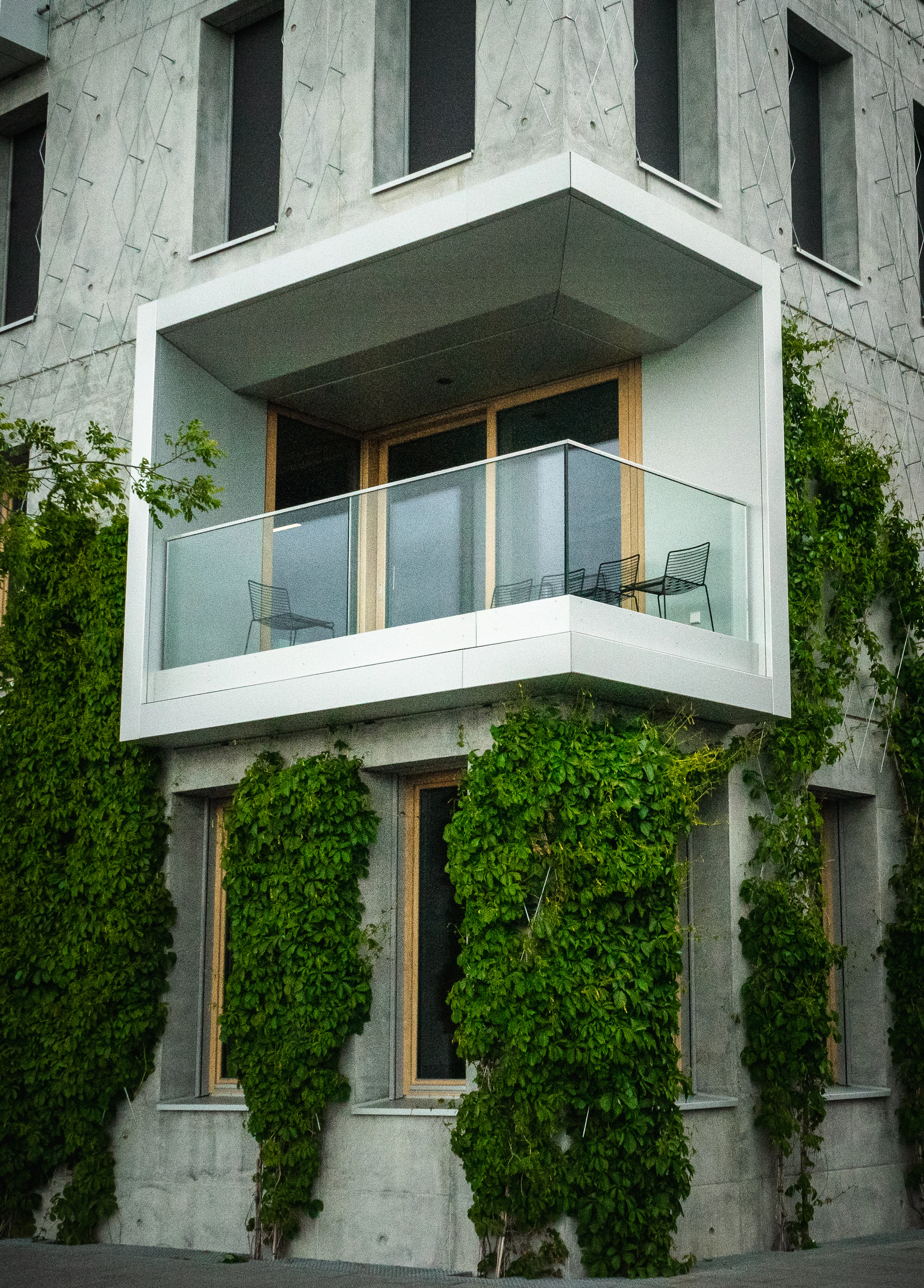 white wooden framed glass window