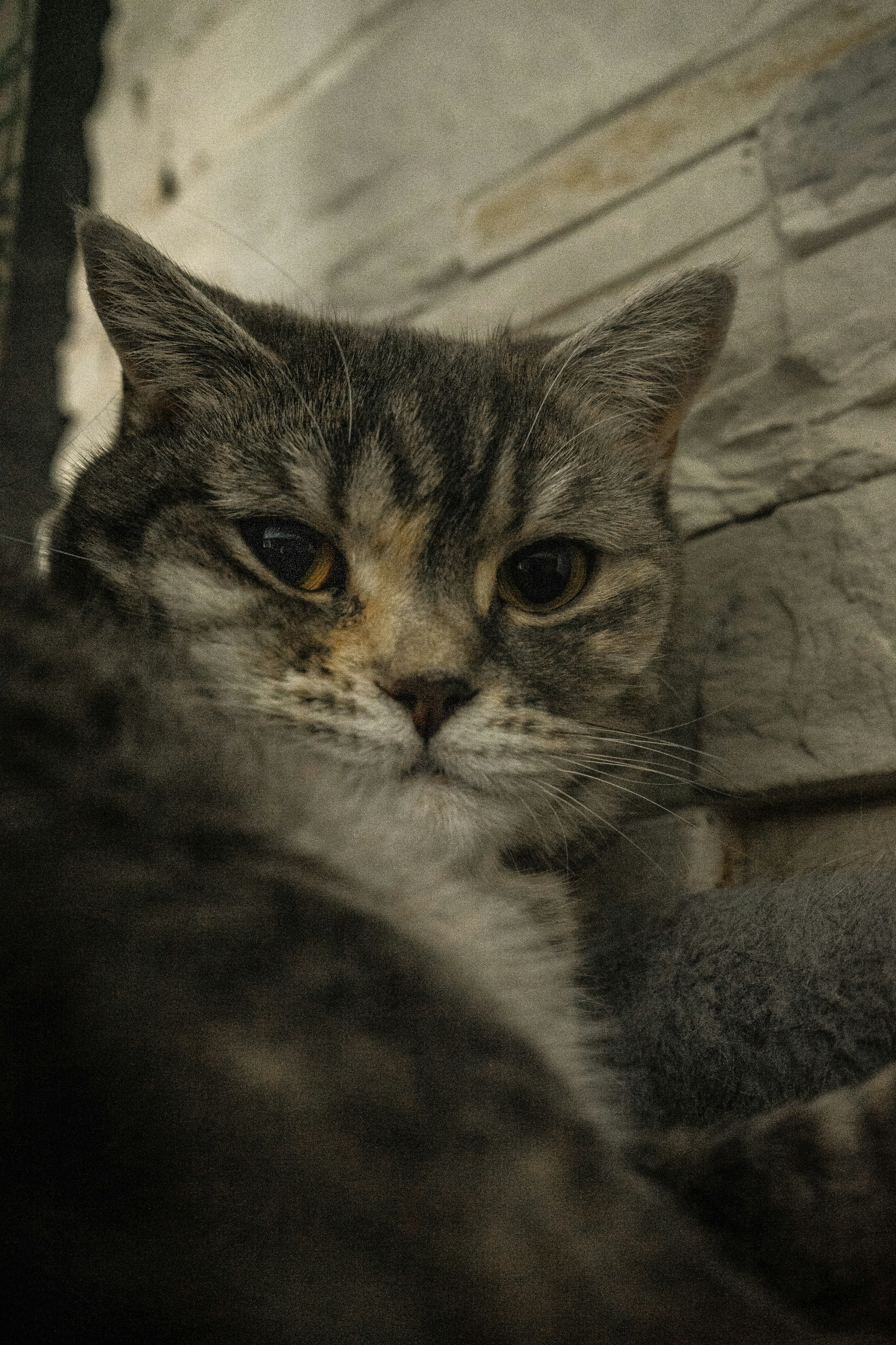 Photo by benjaminmerkle