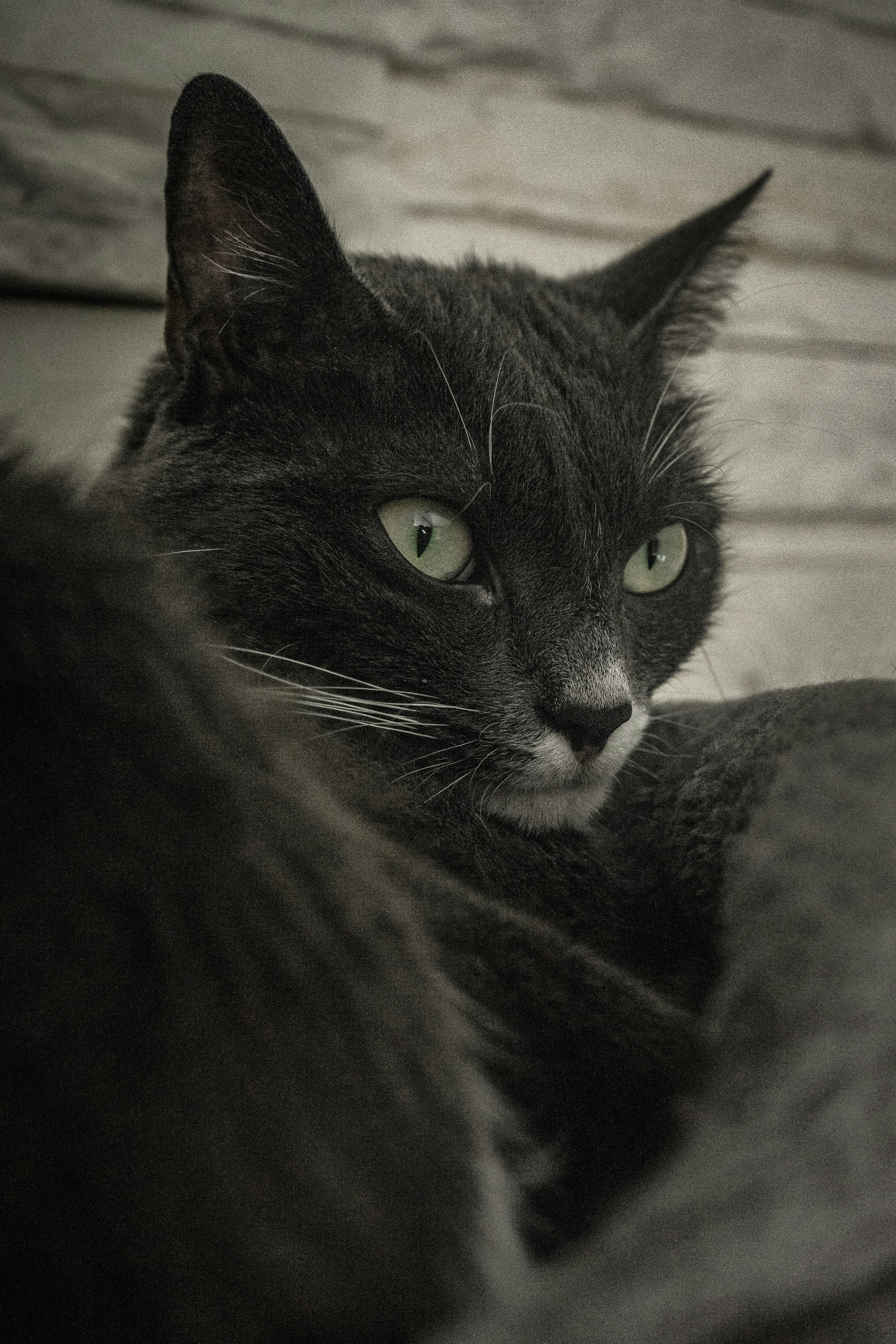 Photo by benjaminmerkle