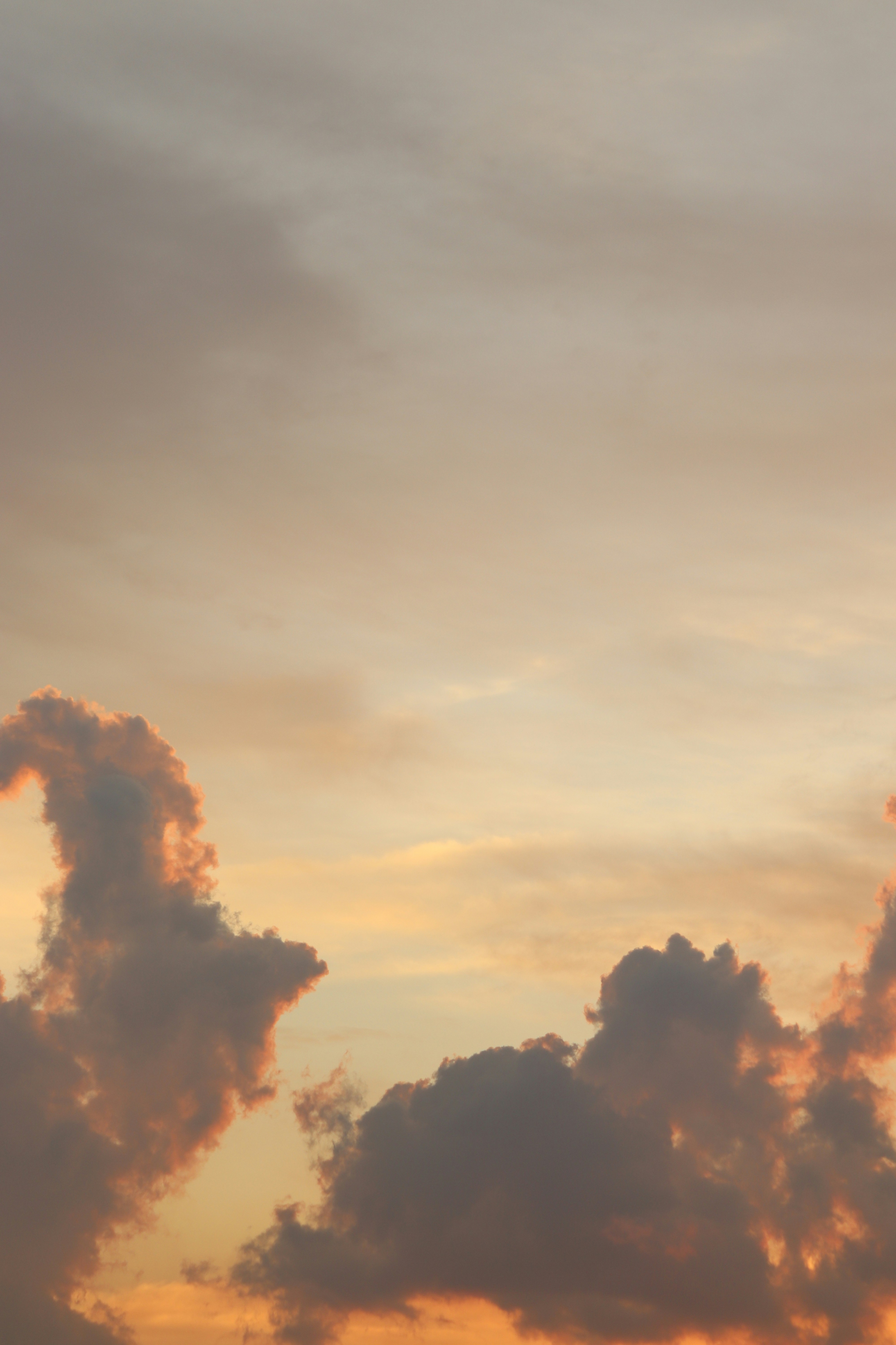 Photo by chaunhan9707