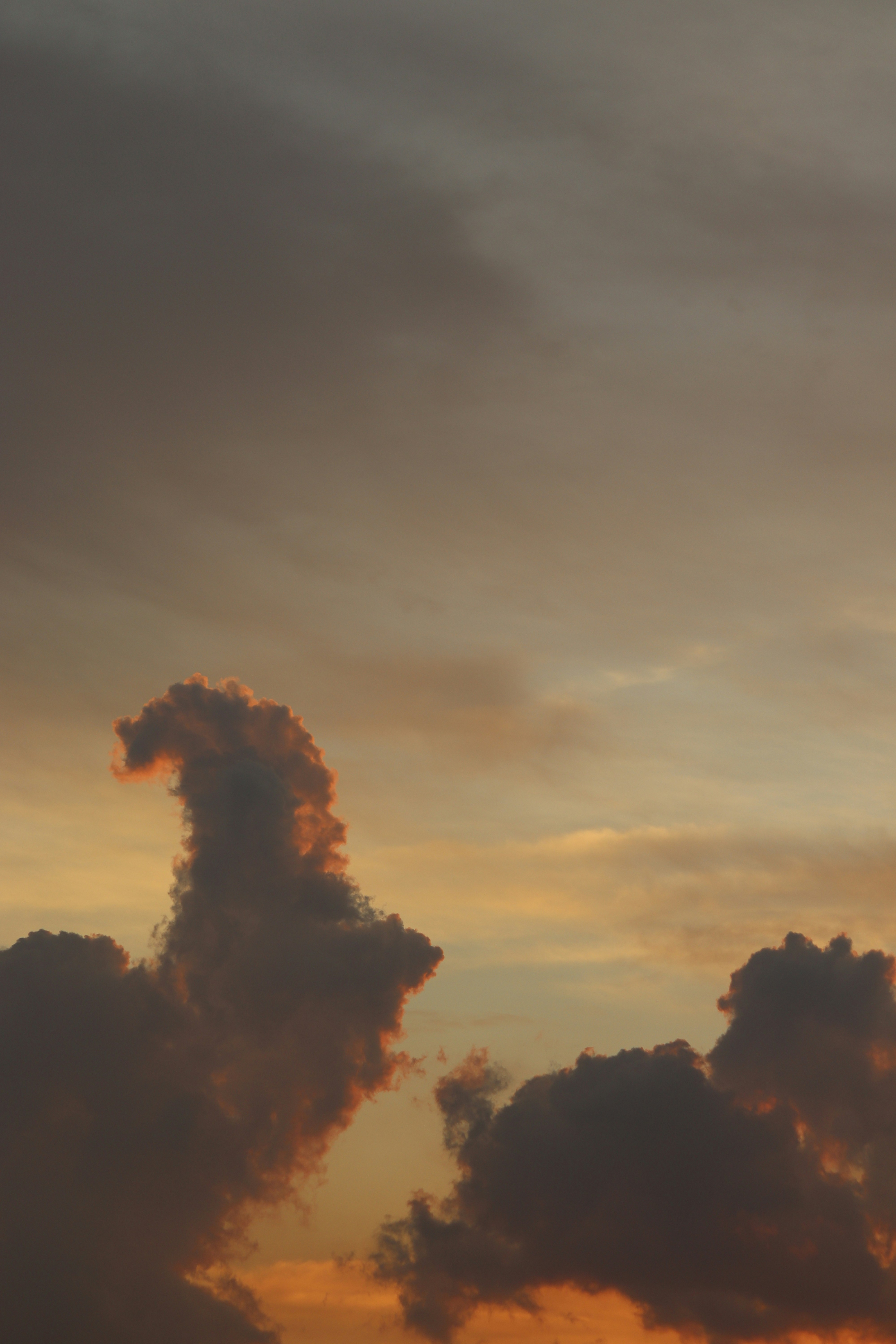 Photo by chaunhan9707