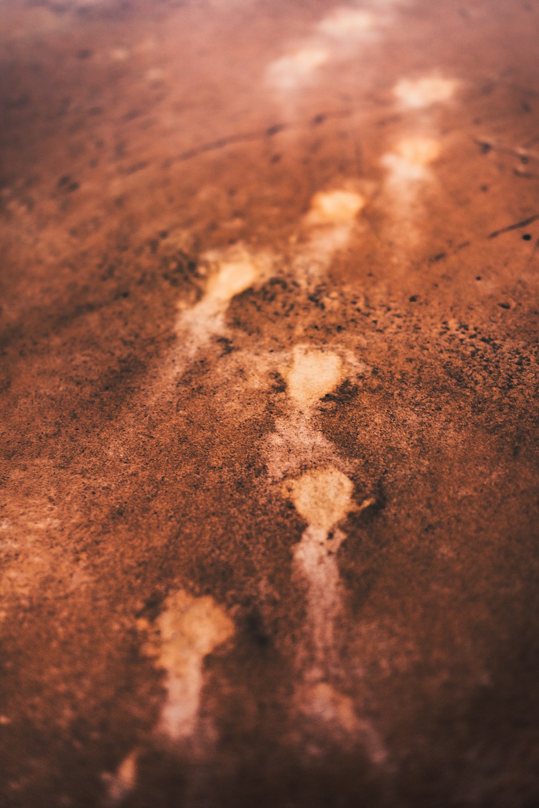 brown powder on brown wooden table