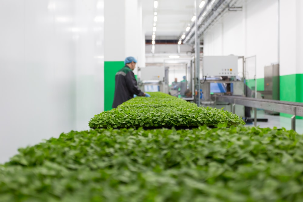 man in blue suit standing in front of green plants