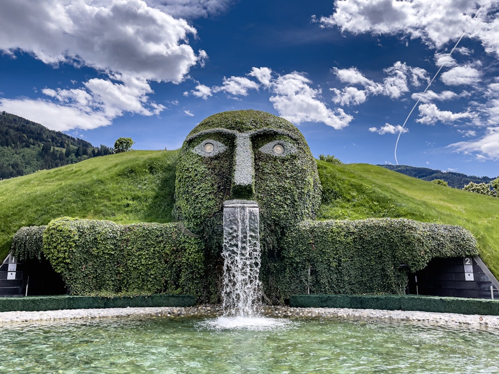 campo di erba verde sotto il cielo blu durante il giorno