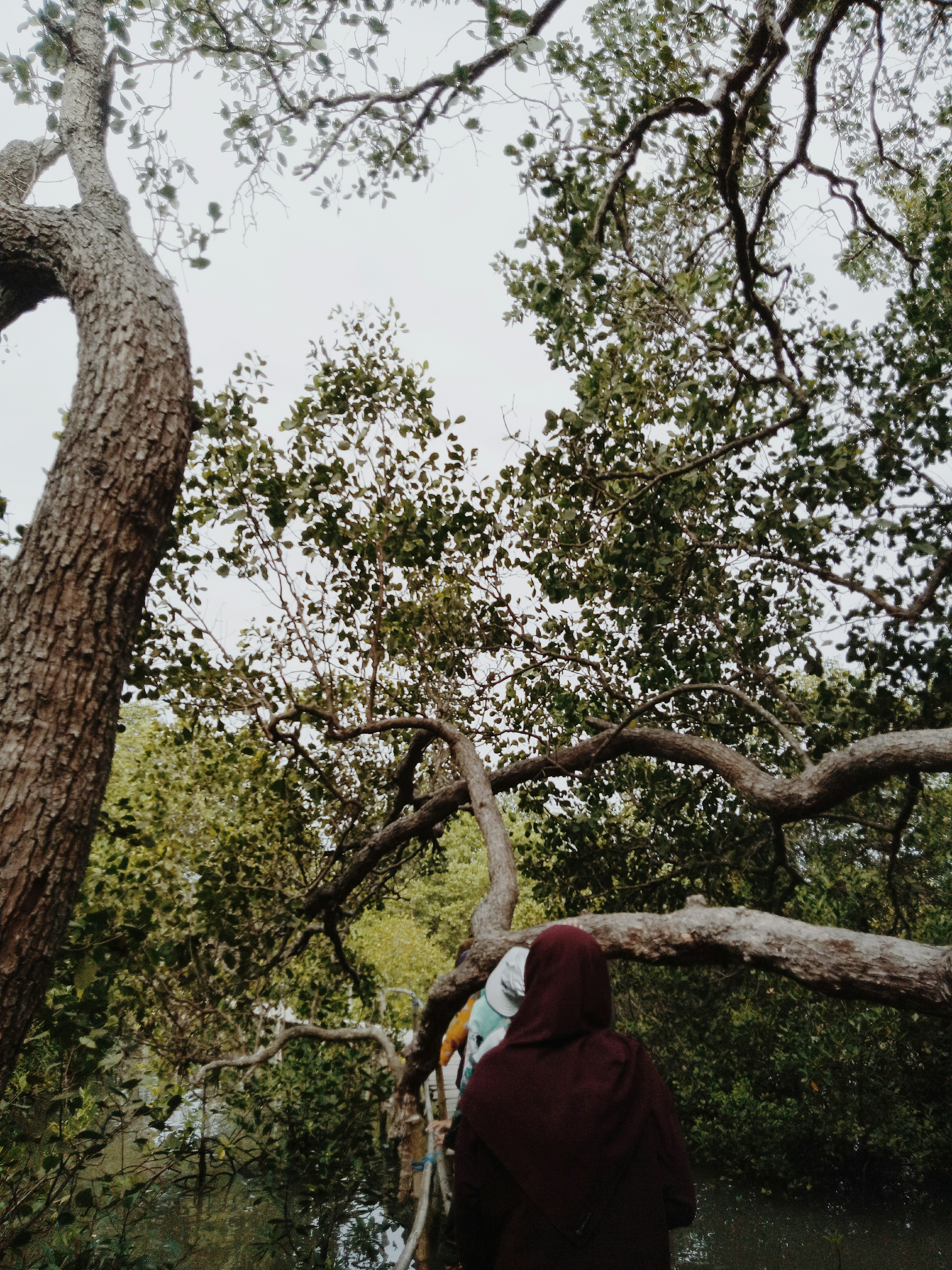 woman in red hijab standing under green tree during daytime