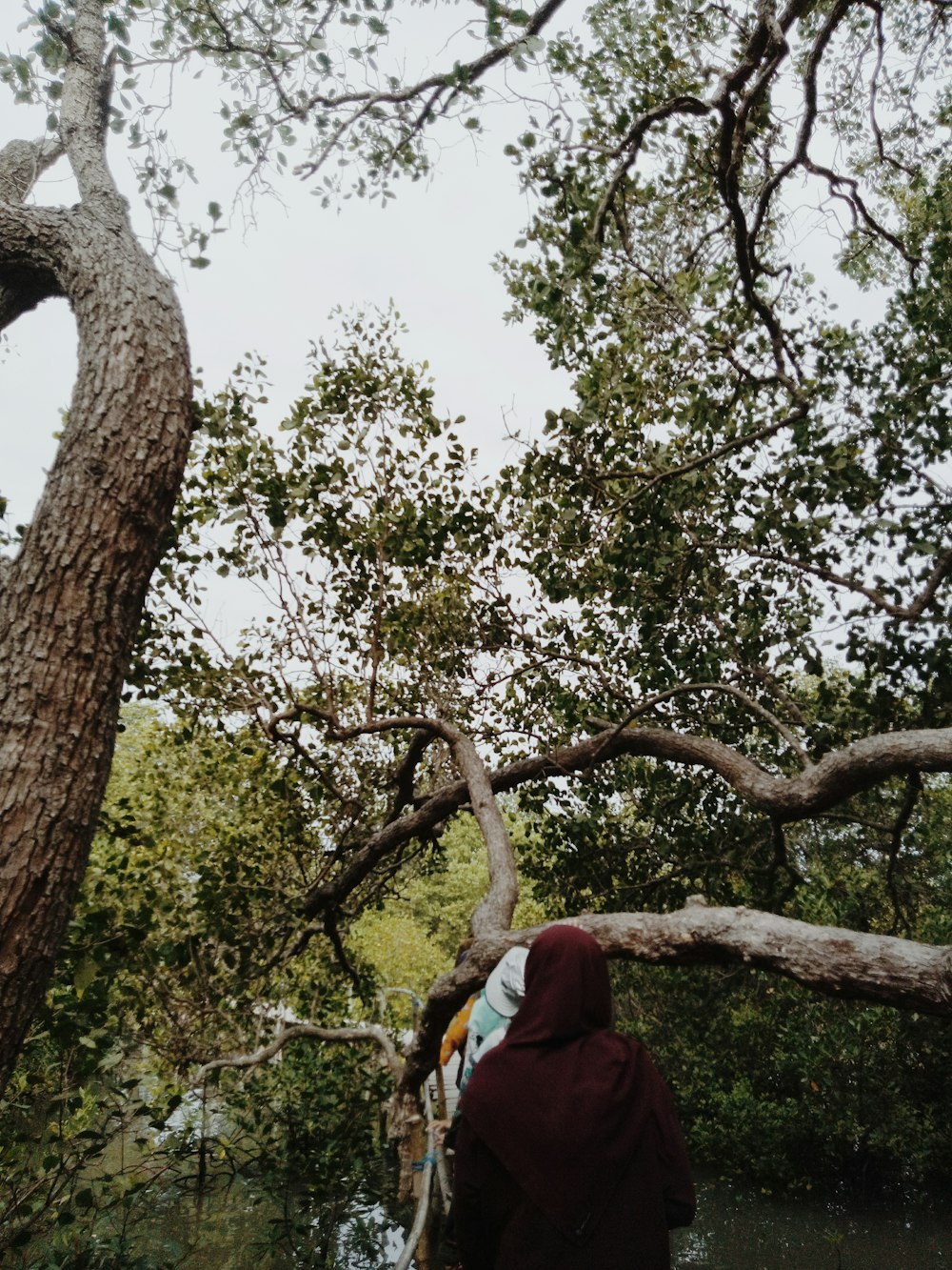 Mujer con hiyab rojo de pie bajo un árbol verde durante el día