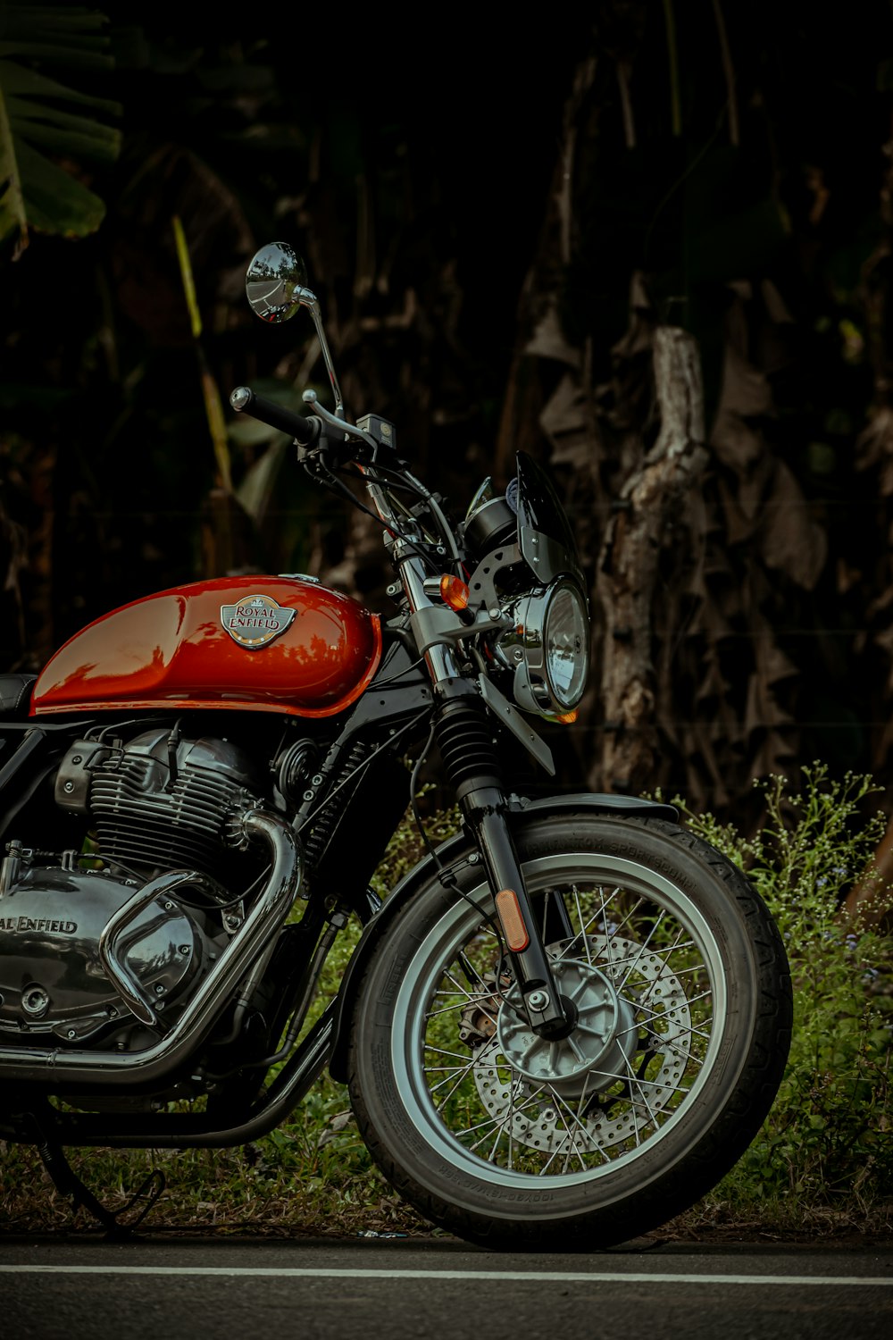 orange and black motorcycle near brown tree during daytime