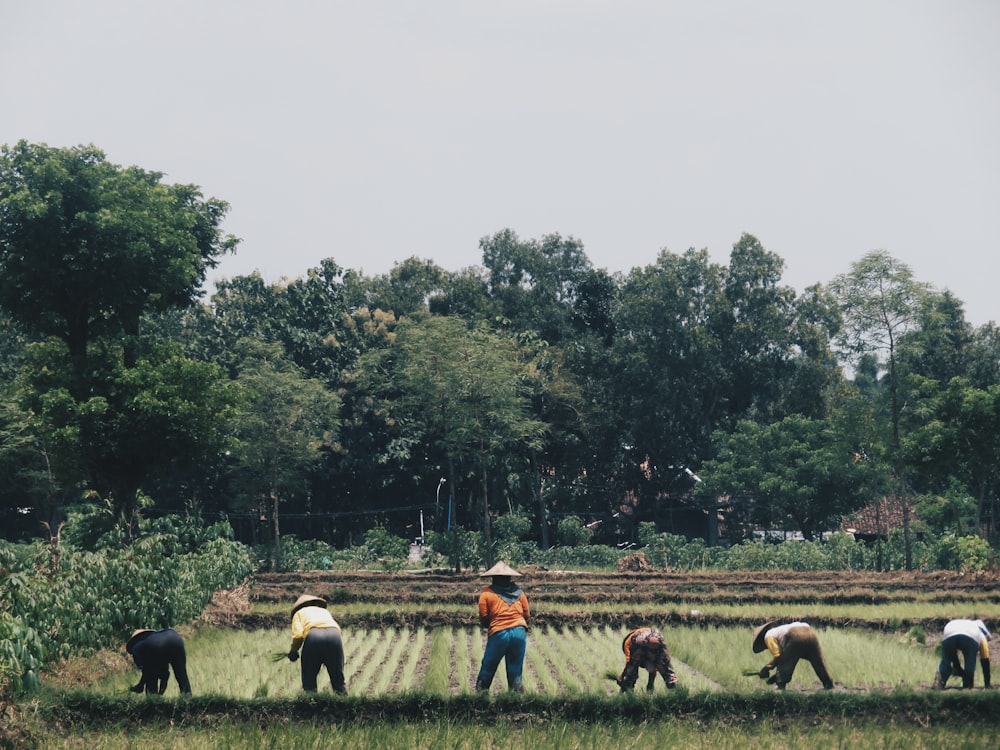 Personas en el campo de hierba verde durante el día