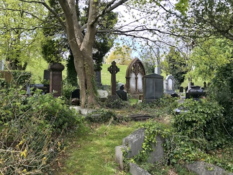 A serene cemetery scene with old tombstones, crosses, and a large, arch-shaped monument surrounded by lush green foliage and overgrown ivy. The area is shaded by trees with light filtering through the leaves, creating a peaceful and slightly overgrown atmosphere.