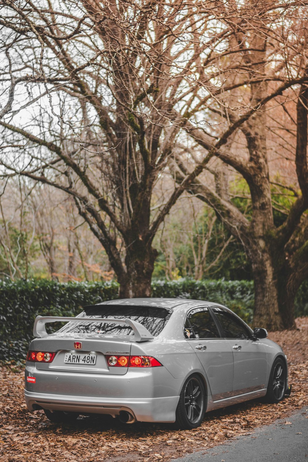 black porsche 911 on road near trees during daytime