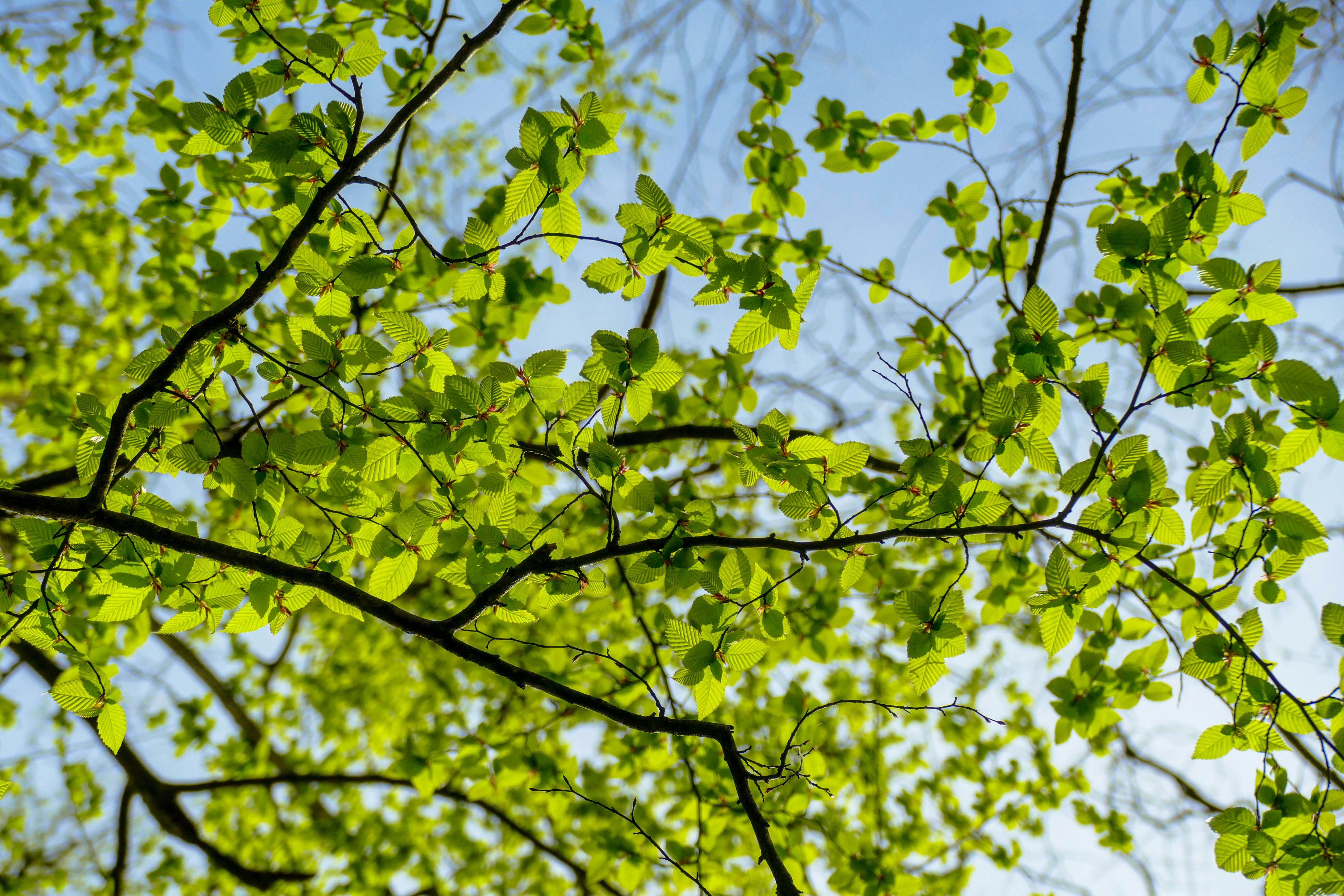 Photo by sepehrsamavati