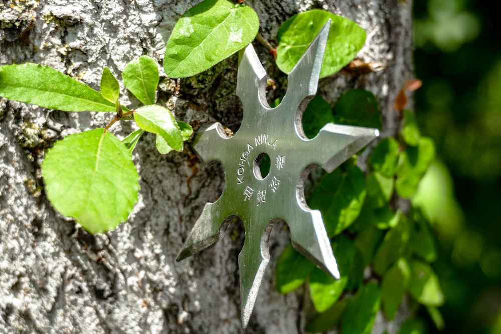silver star ornament on gray tree trunk