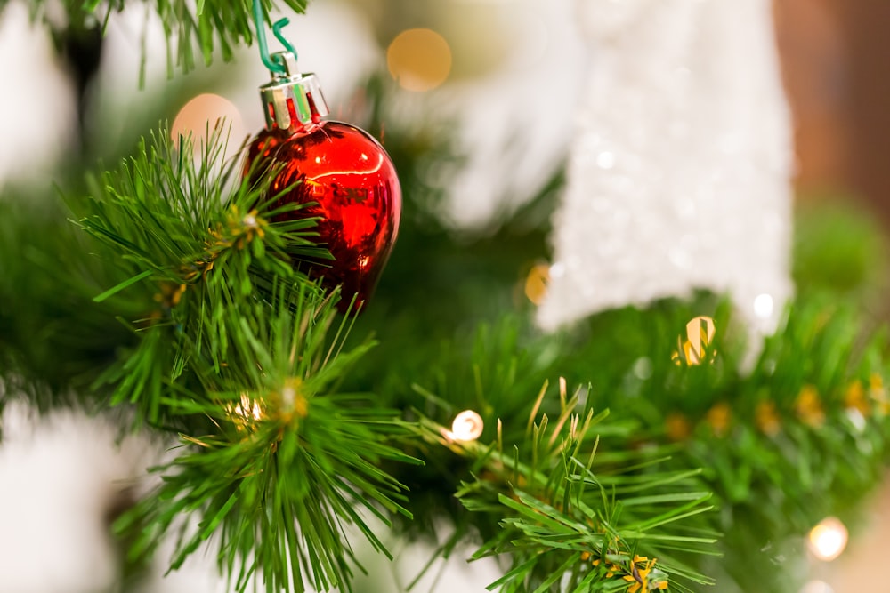 red bauble on green christmas tree