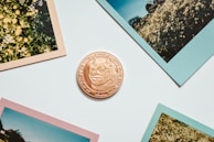 A shiny coin featuring a Shiba Inu dog design is centered, surrounded by four polaroid-style photographs with pastel-colored borders. The backgrounds of the photos depict various outdoor scenes with greenery and sky.