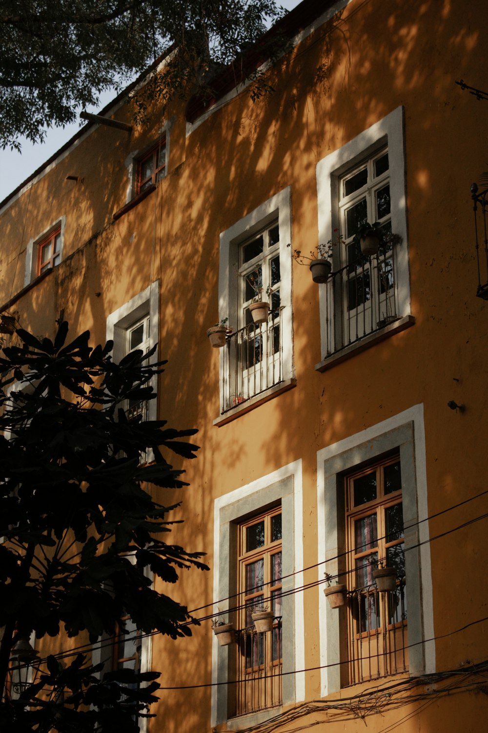 brown and white concrete building