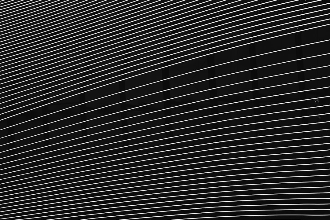 black and white striped illustration