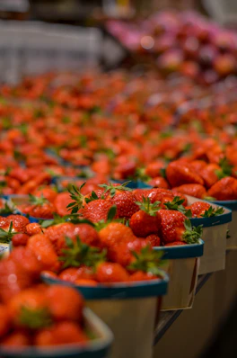 red strawberries in blue plastic container