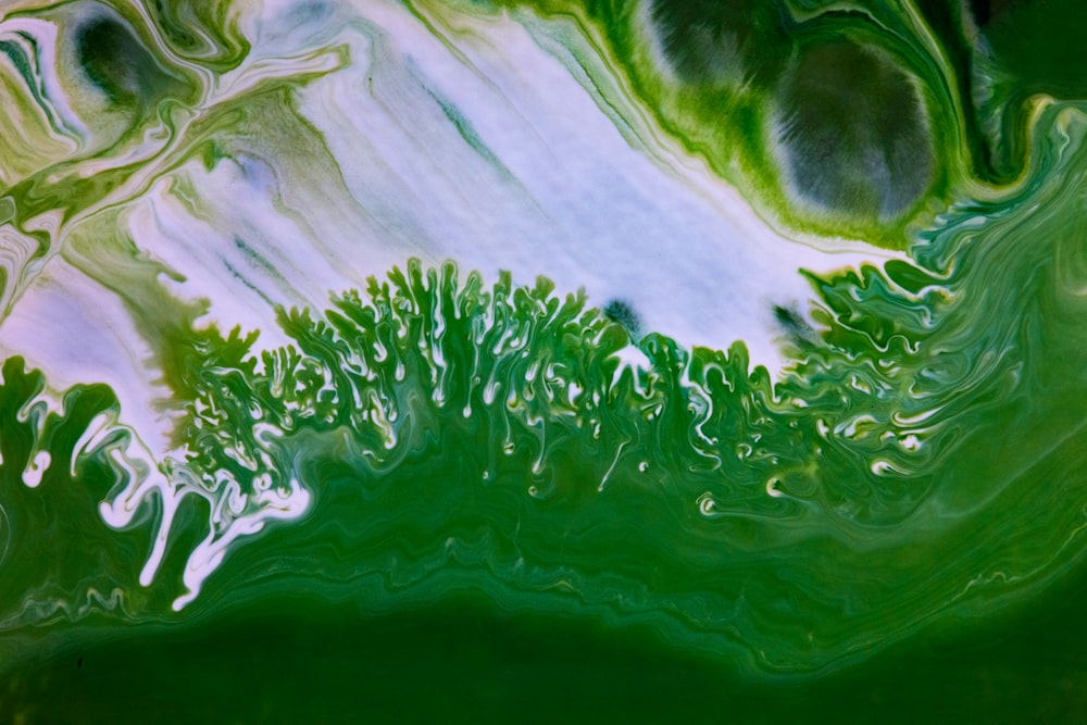 green and white abstract painting