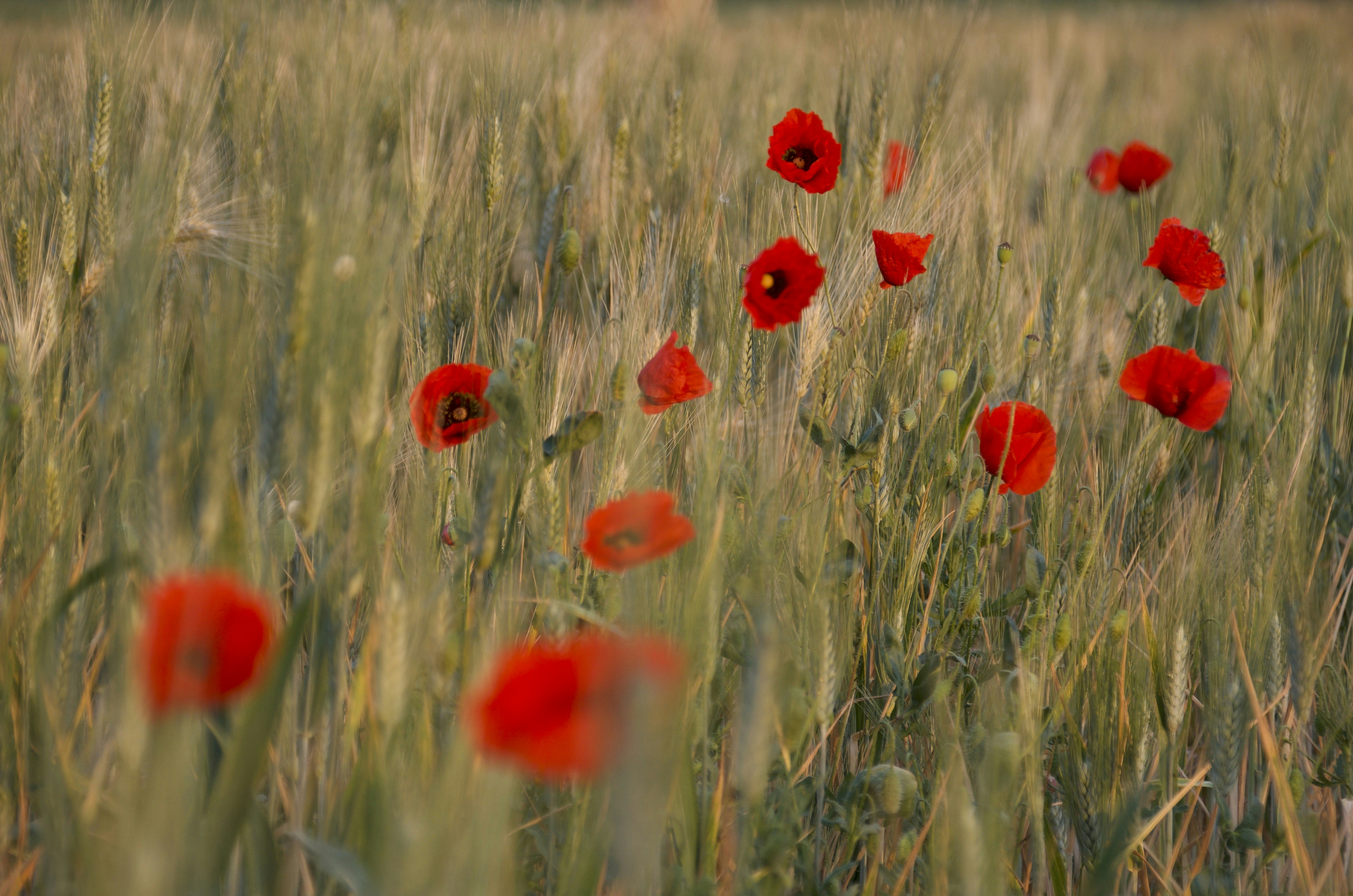 Photo by mariobeducci