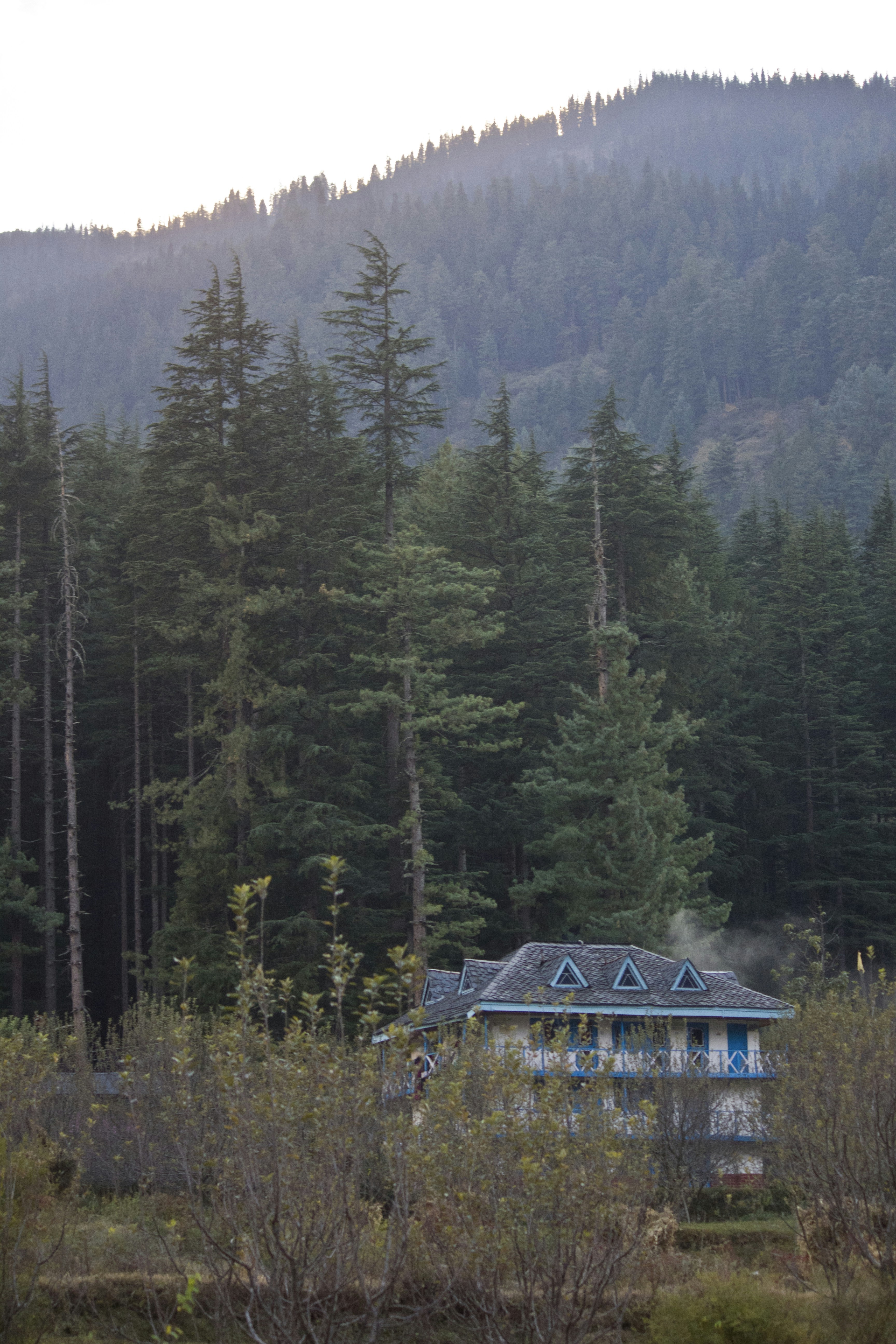 Photo by abhishekgopurathinkal