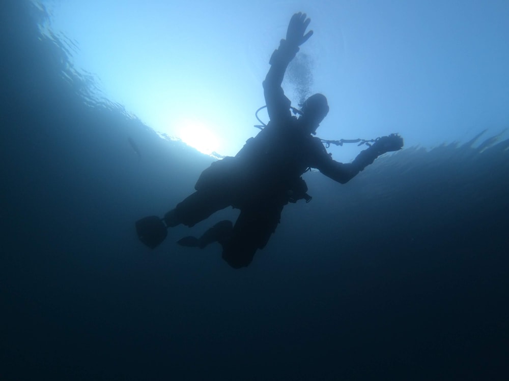 man in black wet suit under water