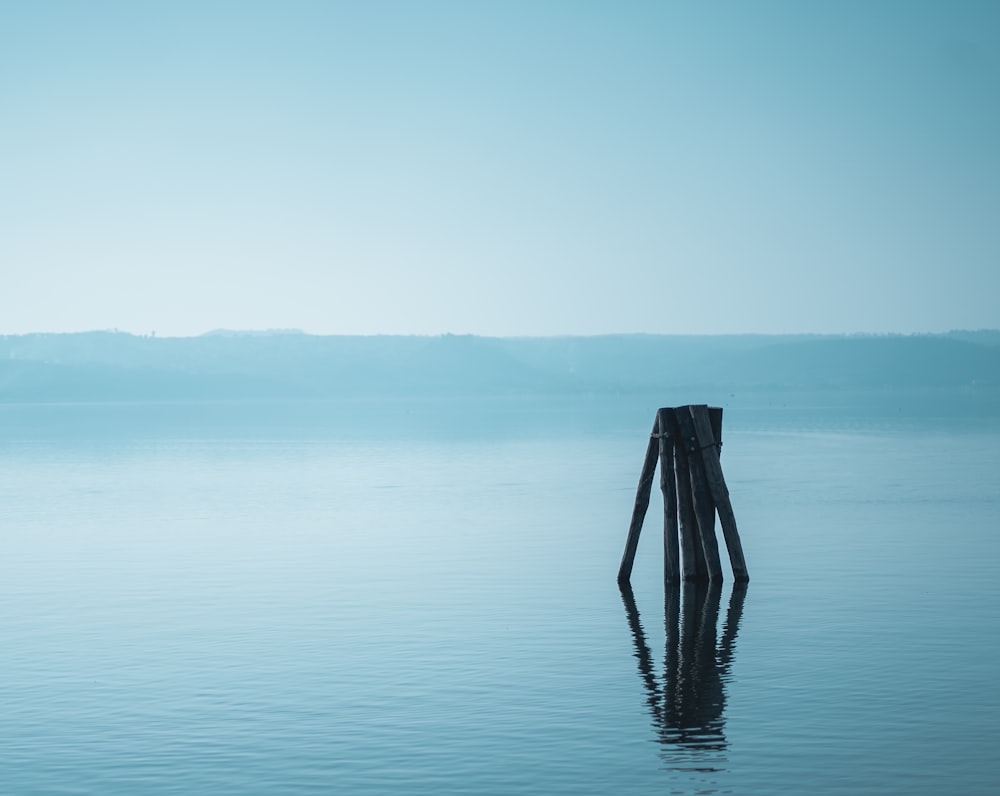 brown wooden stick on body of water during daytime