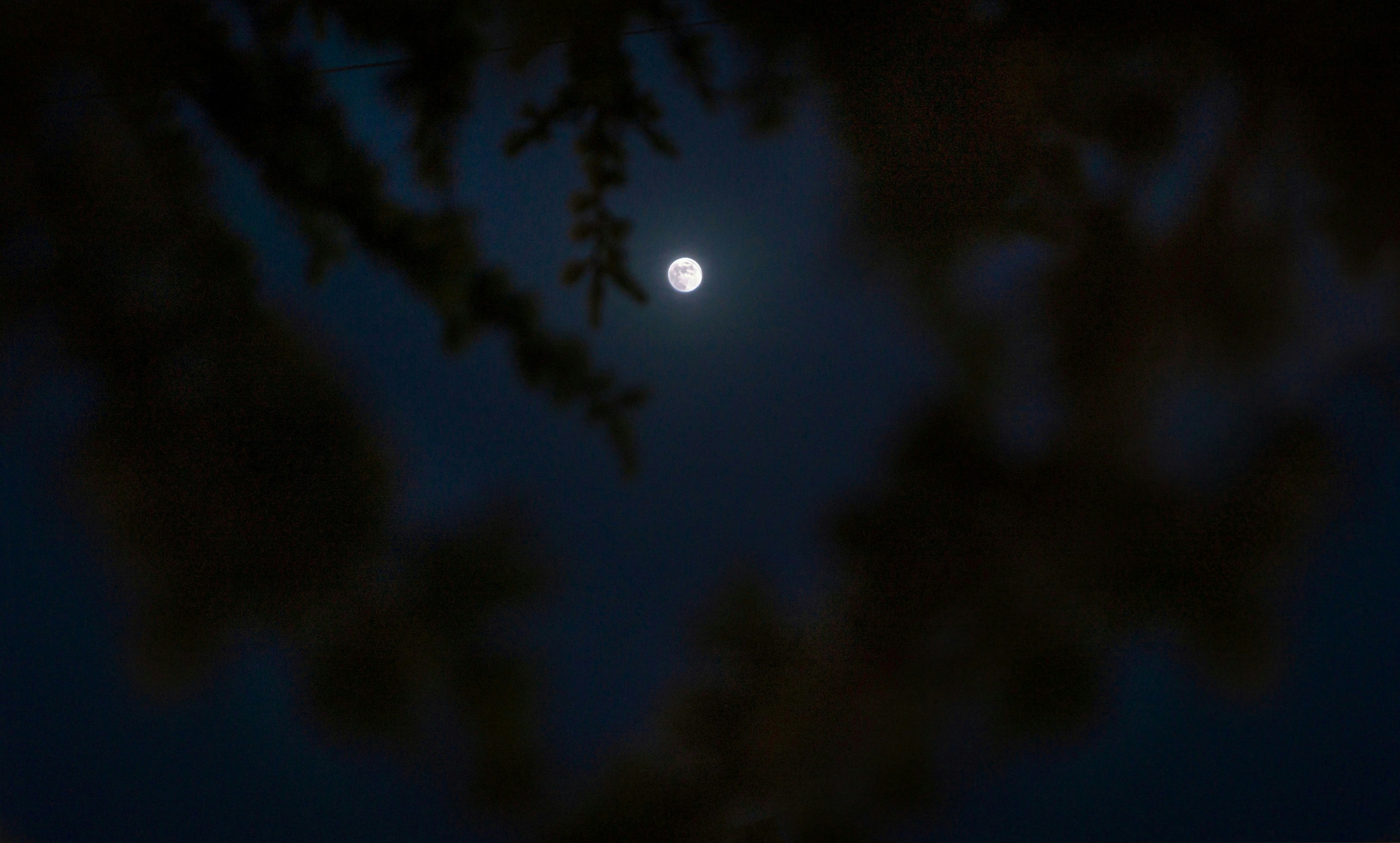 Photo by fethibenattallah