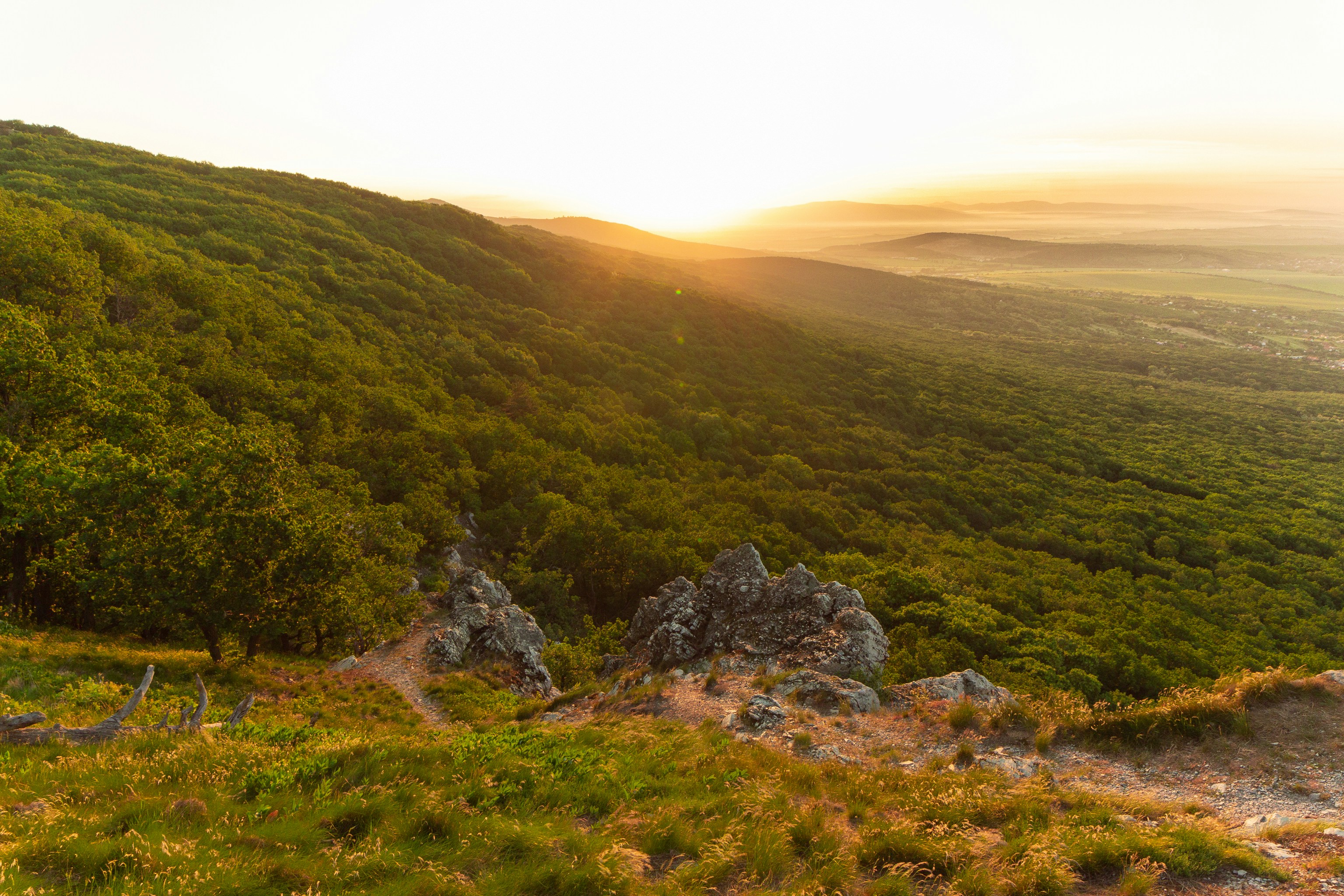 Nitra – Transportation & Getting Around