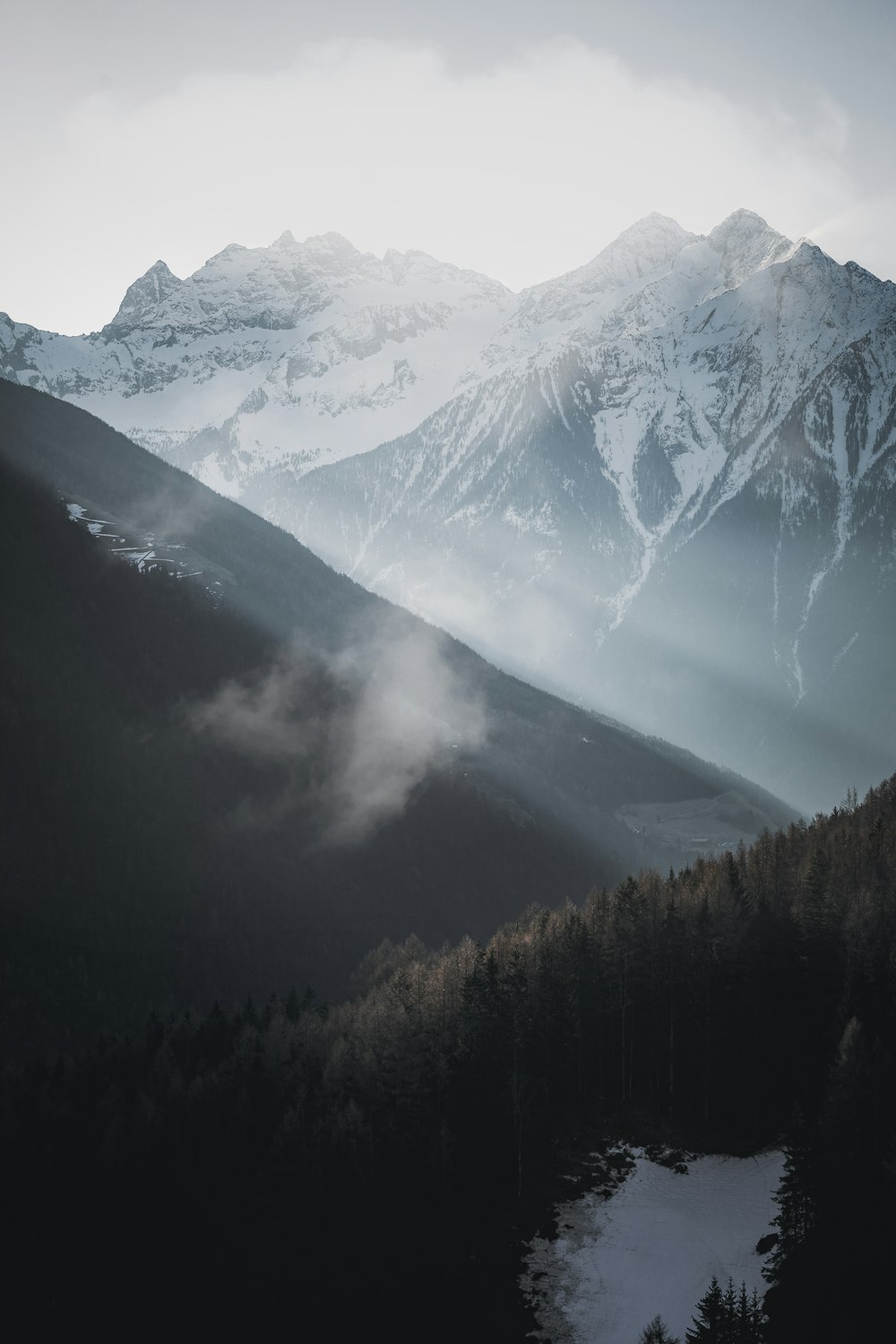 green trees near snow covered mountain during daytime