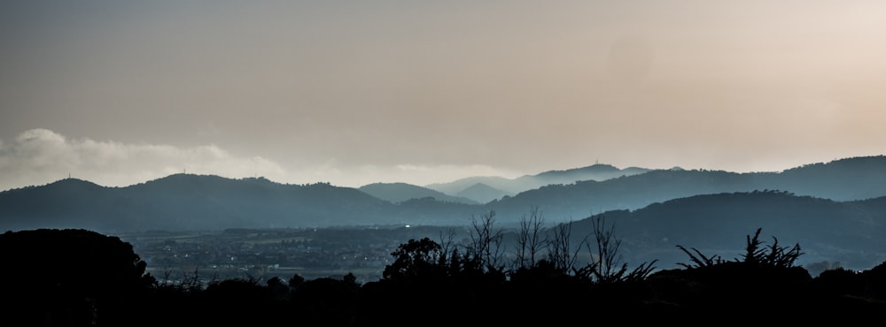 green trees near mountain during daytime