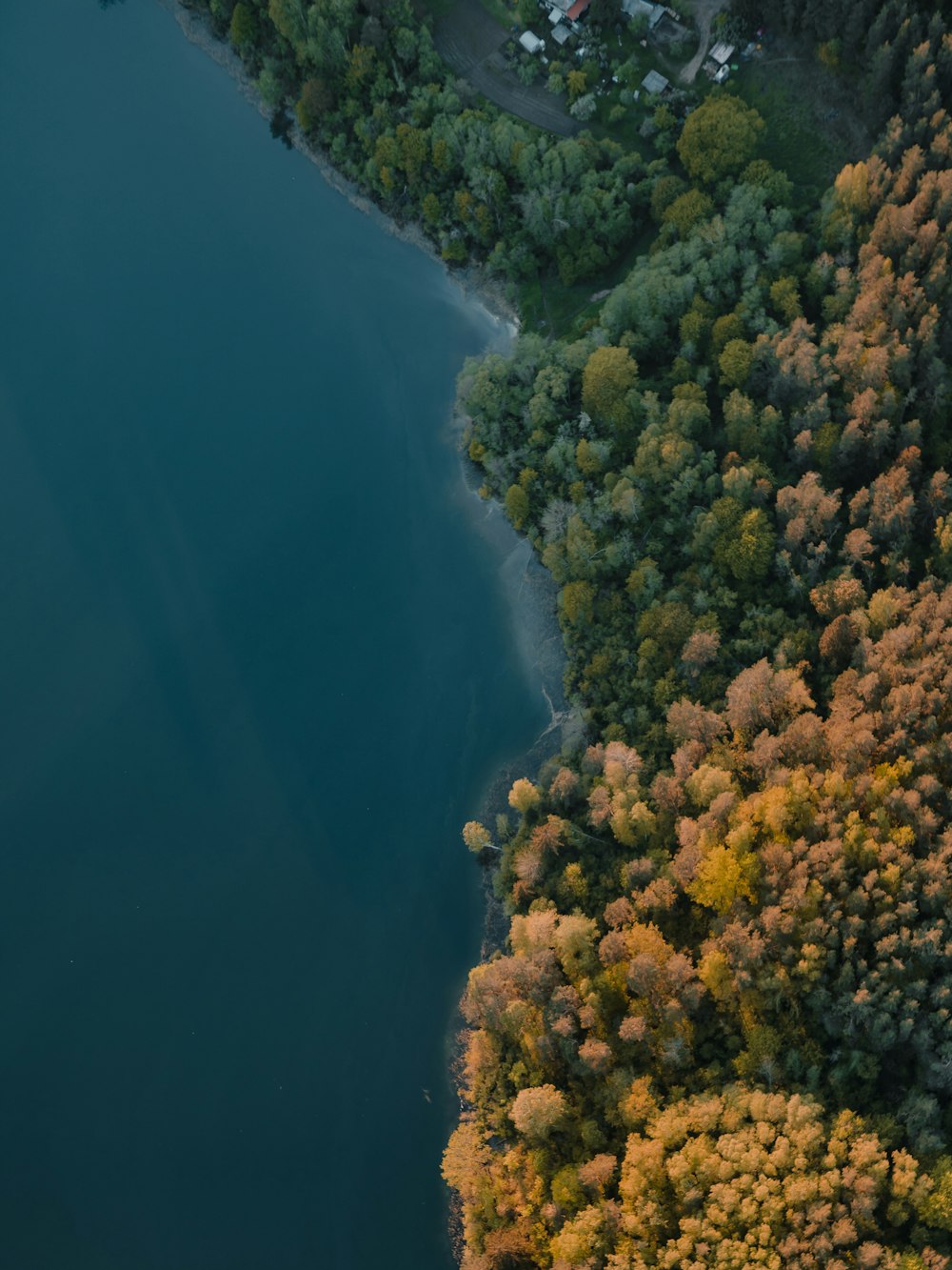 Luftaufnahme von grünen Bäumen und blauem Gewässer tagsüber