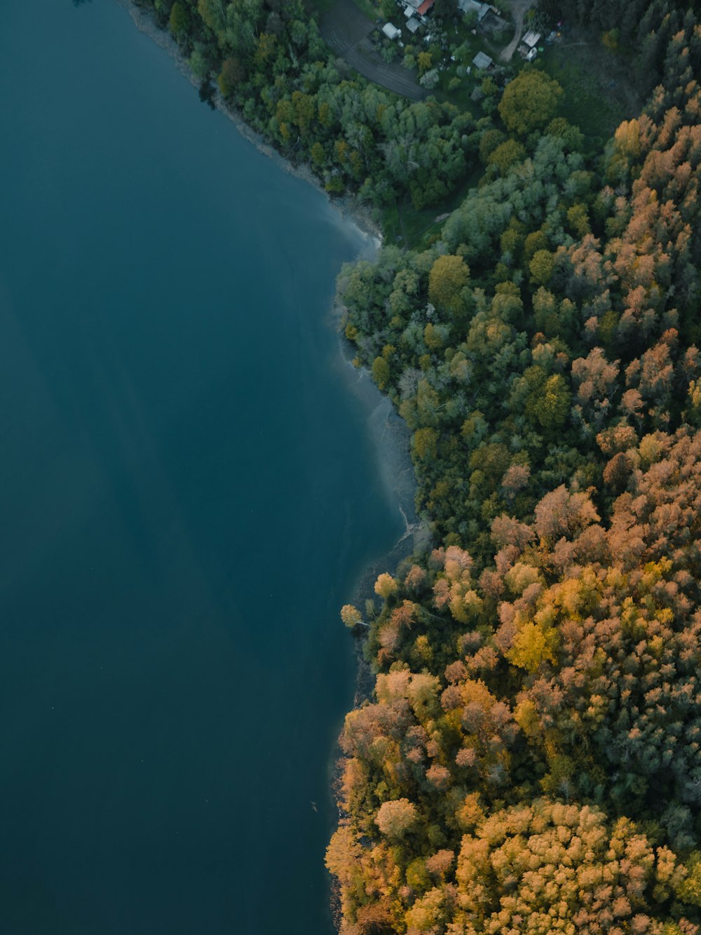 Vue aérienne d’arbres verts et de plan d’eau bleu pendant la journée