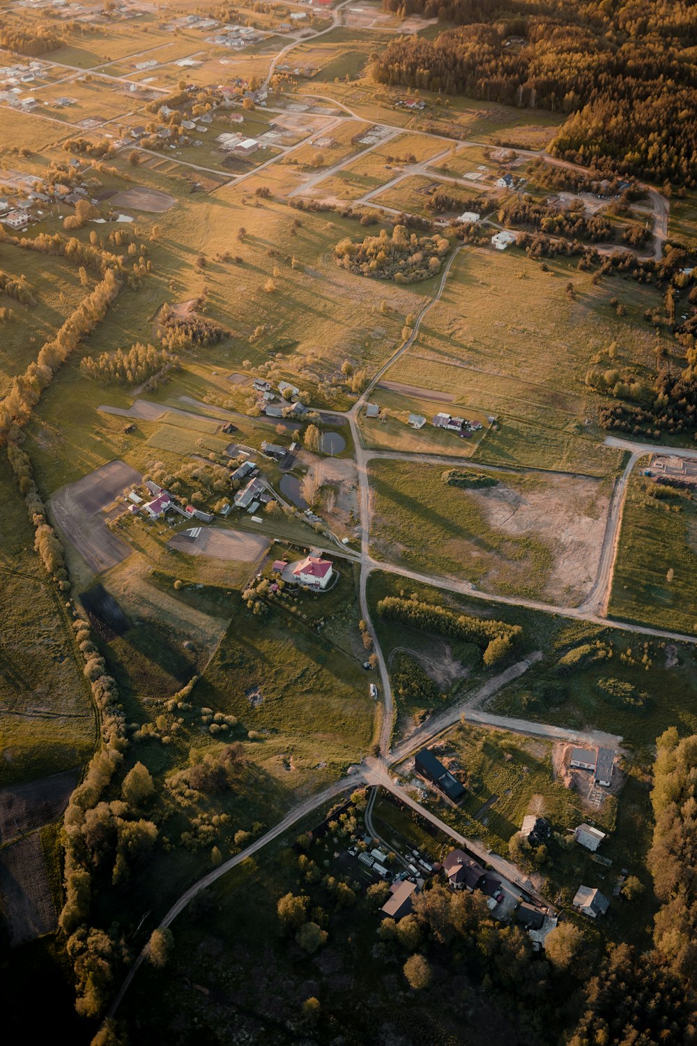 aerial view of green field and trees