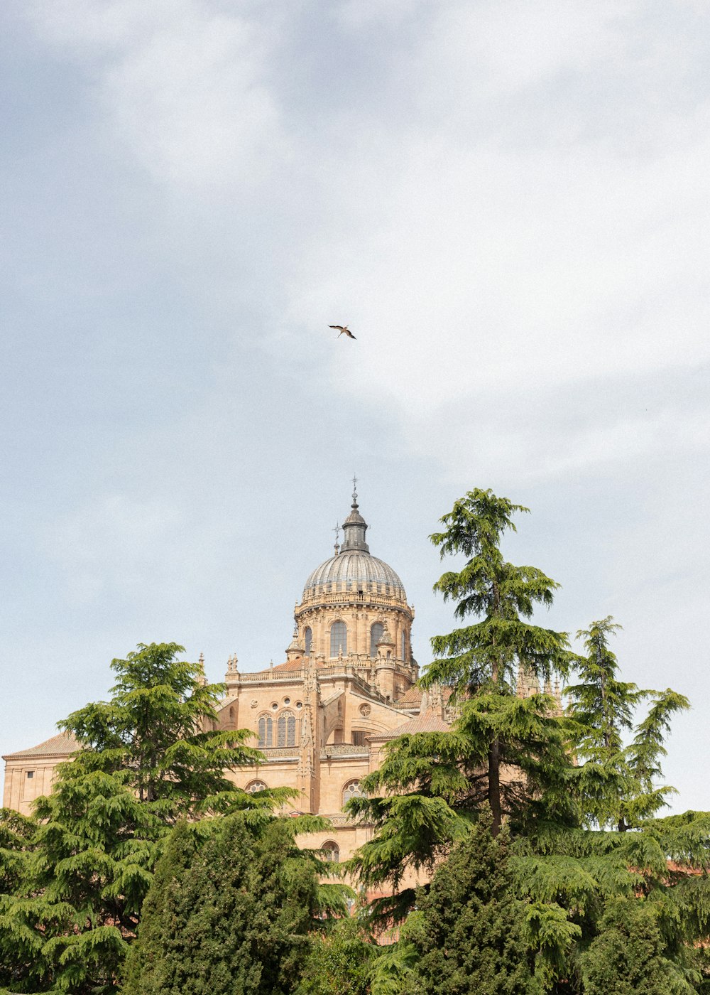 edificio in cemento marrone sotto il cielo blu durante il giorno