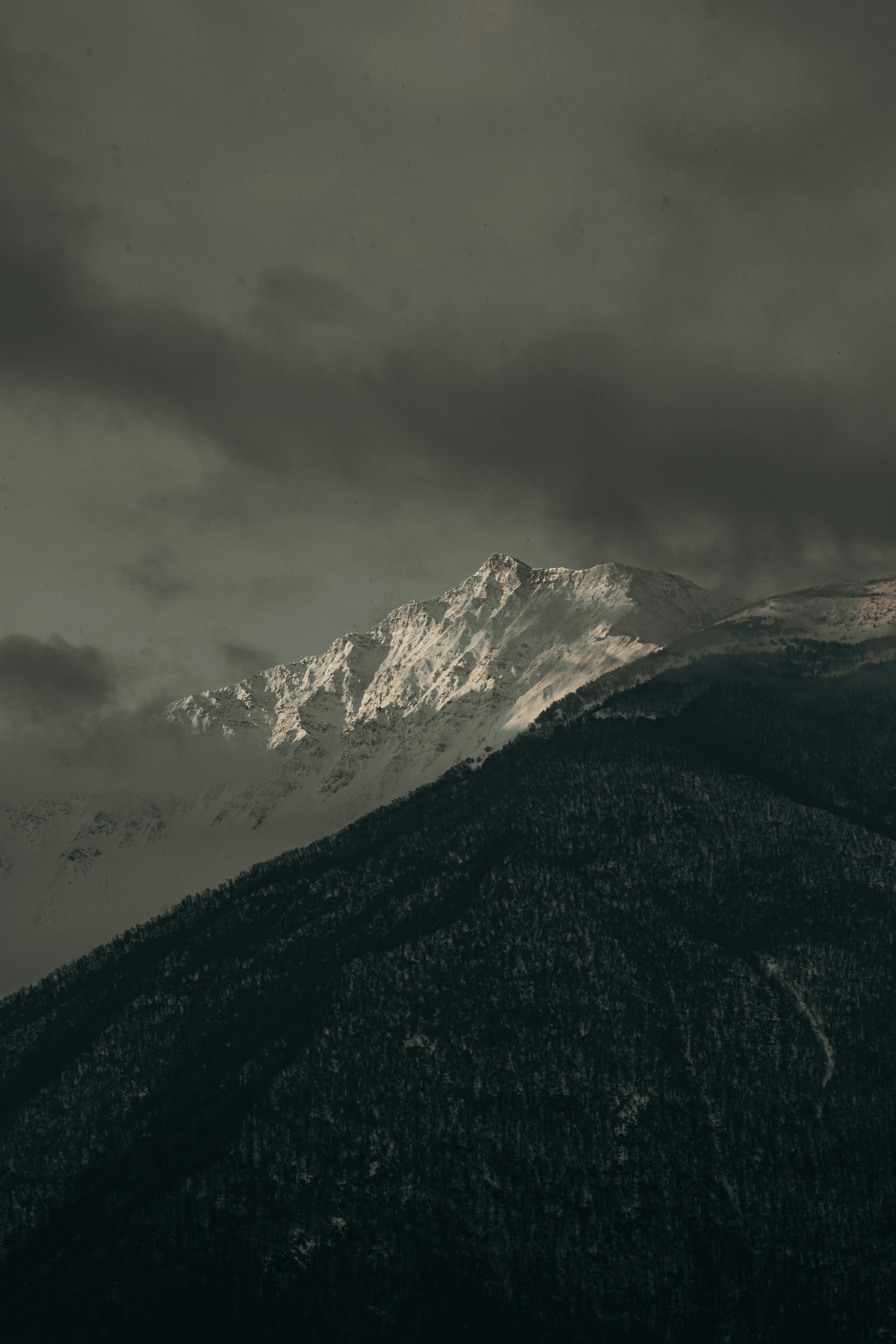 Photo by ramzdossari