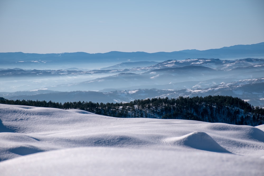 snow covered field and trees during daytime