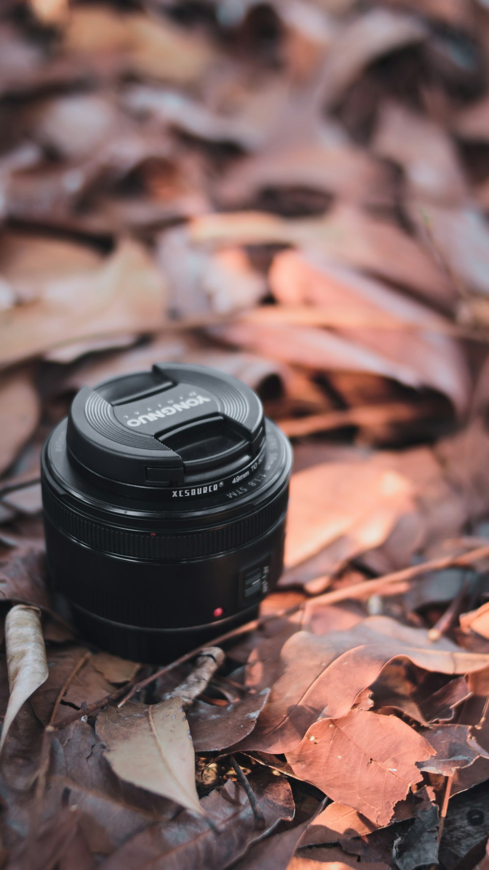 black nikon camera lens on brown dried leaves