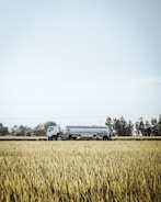 A large white tanker truck is parked or driving through a vast field of tall grass or crops. In the background, there are trees and a clear sky.