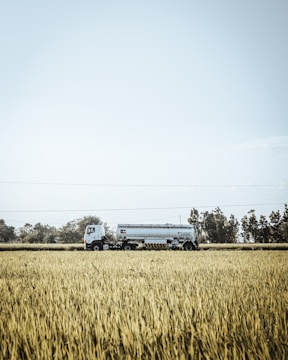 A large white tanker truck is parked or driving through a vast field of tall grass or crops. In the background, there are trees and a clear sky.