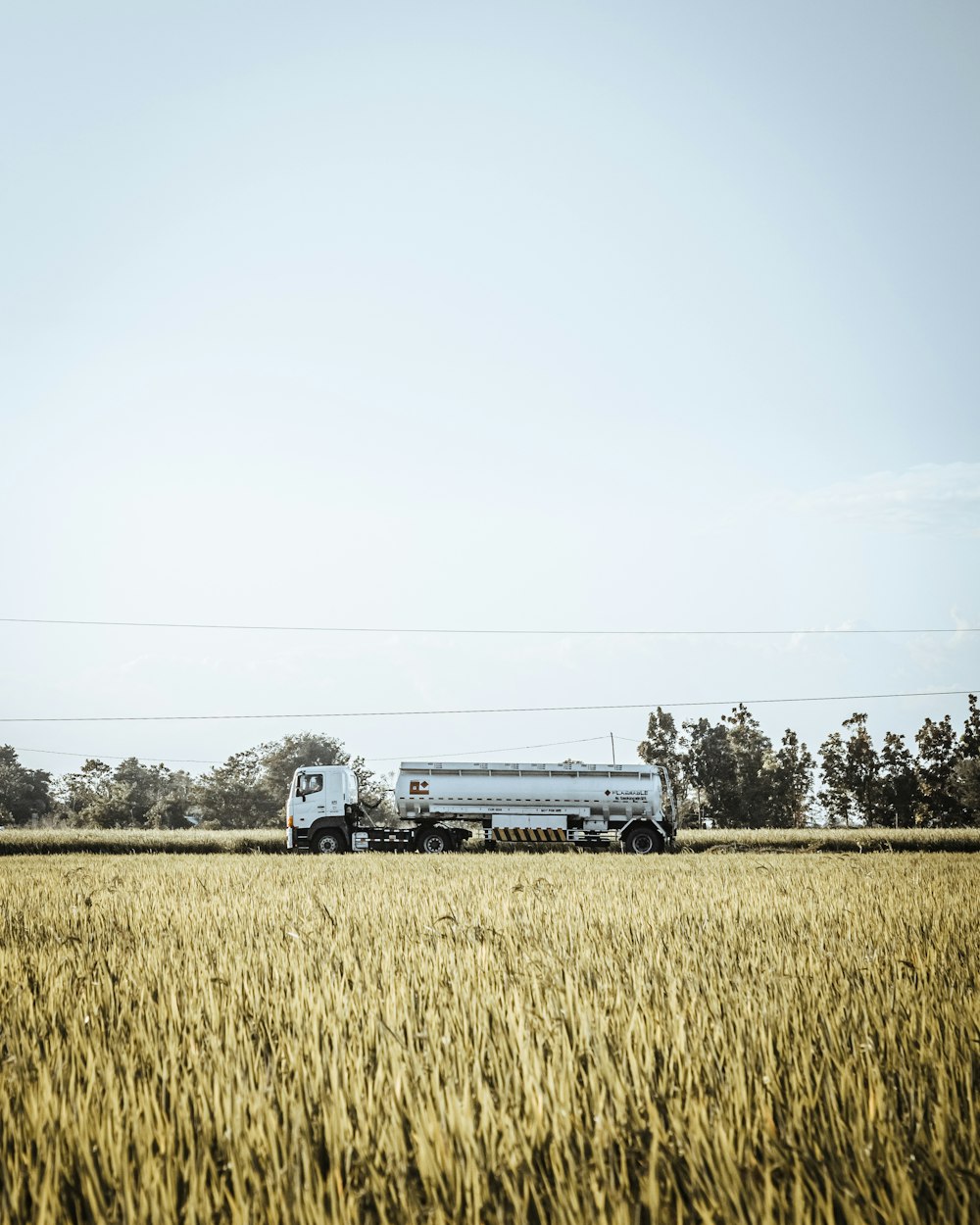 white and black truck on green grass field under white sky during daytime