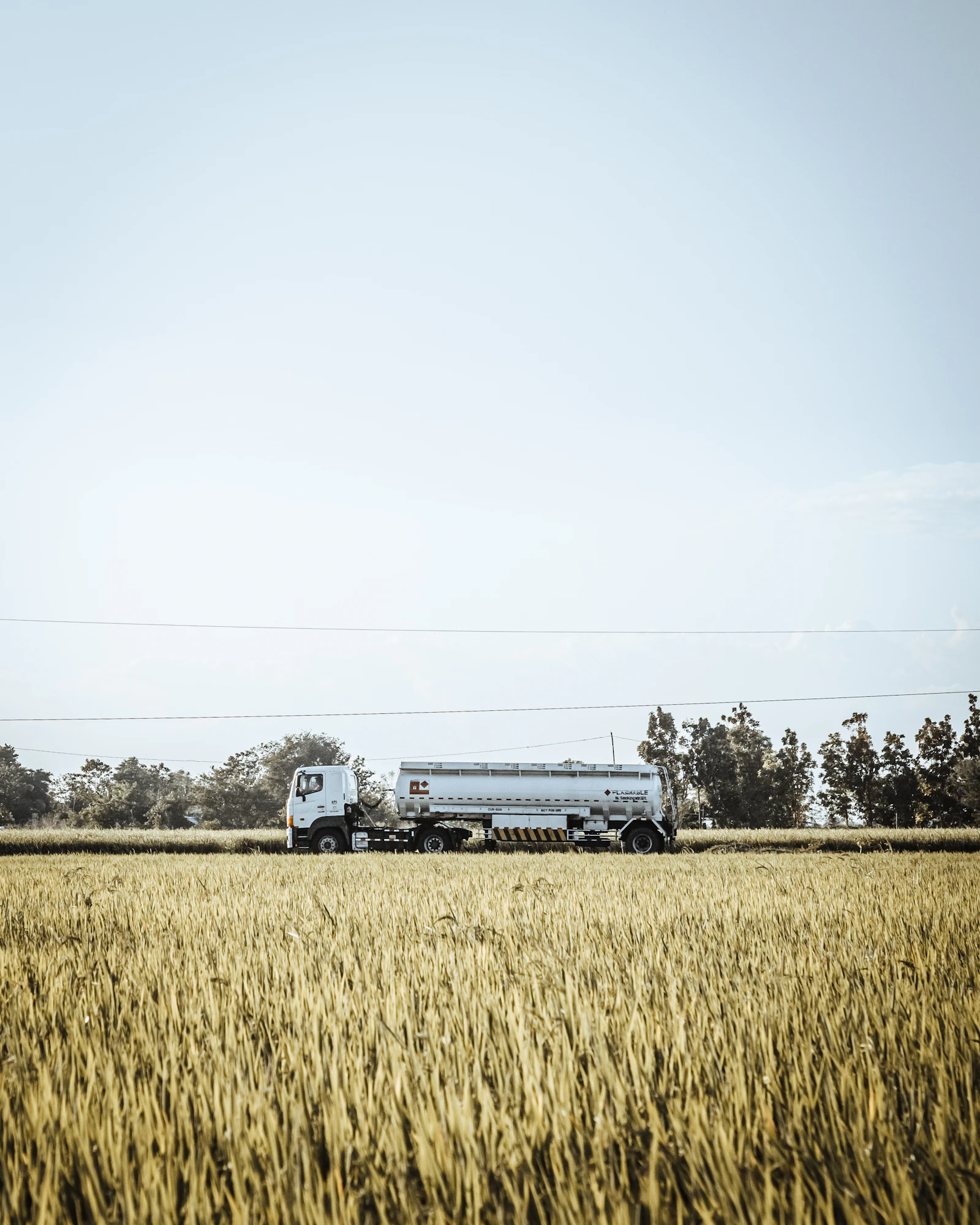 White and black semi truck parked on a green grass field