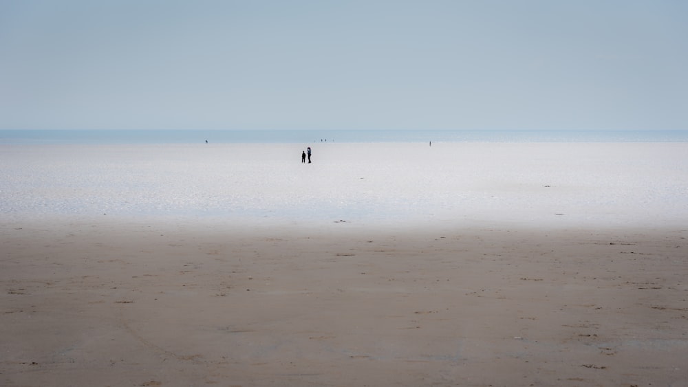 person walking on beach during daytime