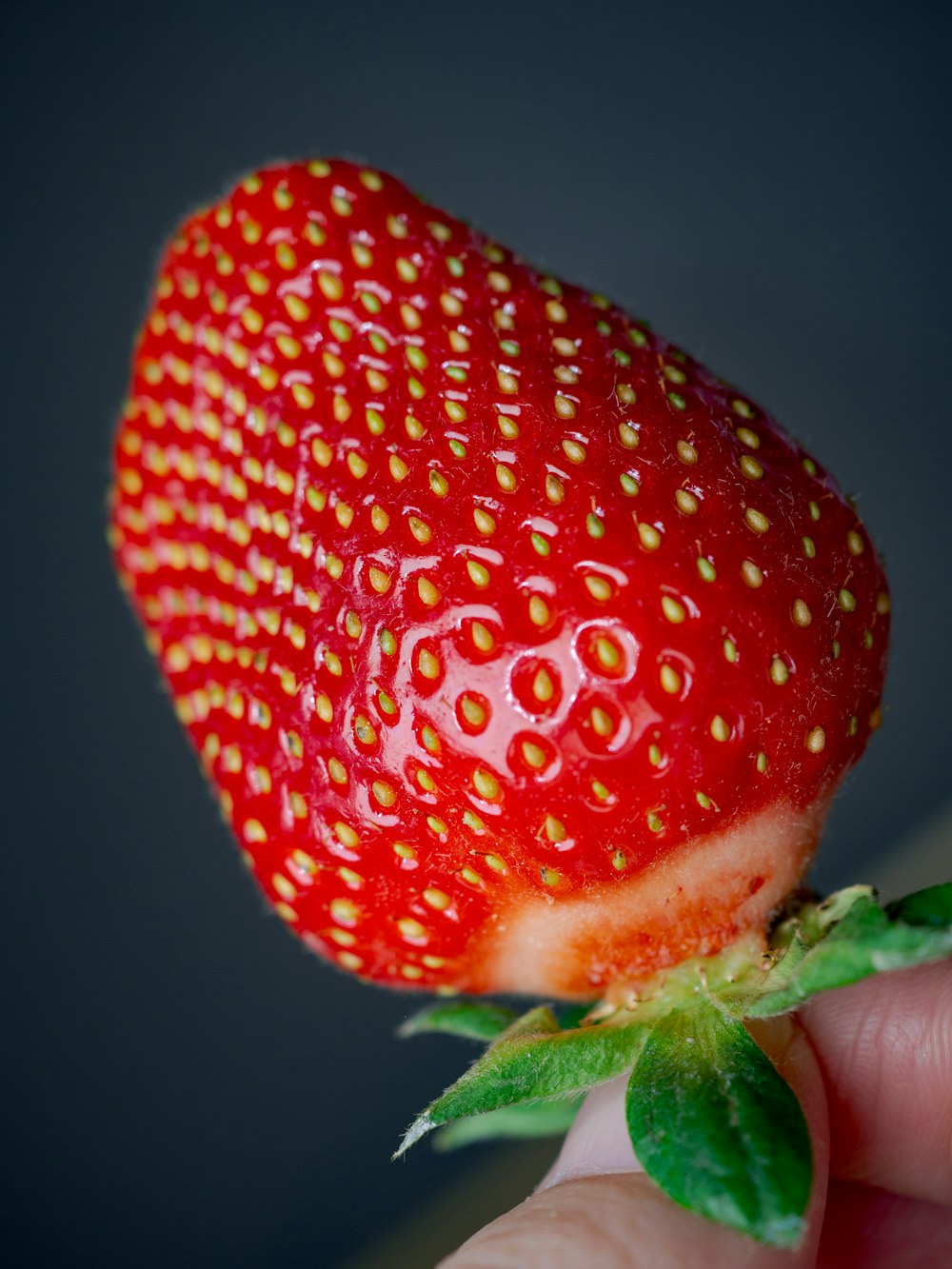 red strawberry in close up photography