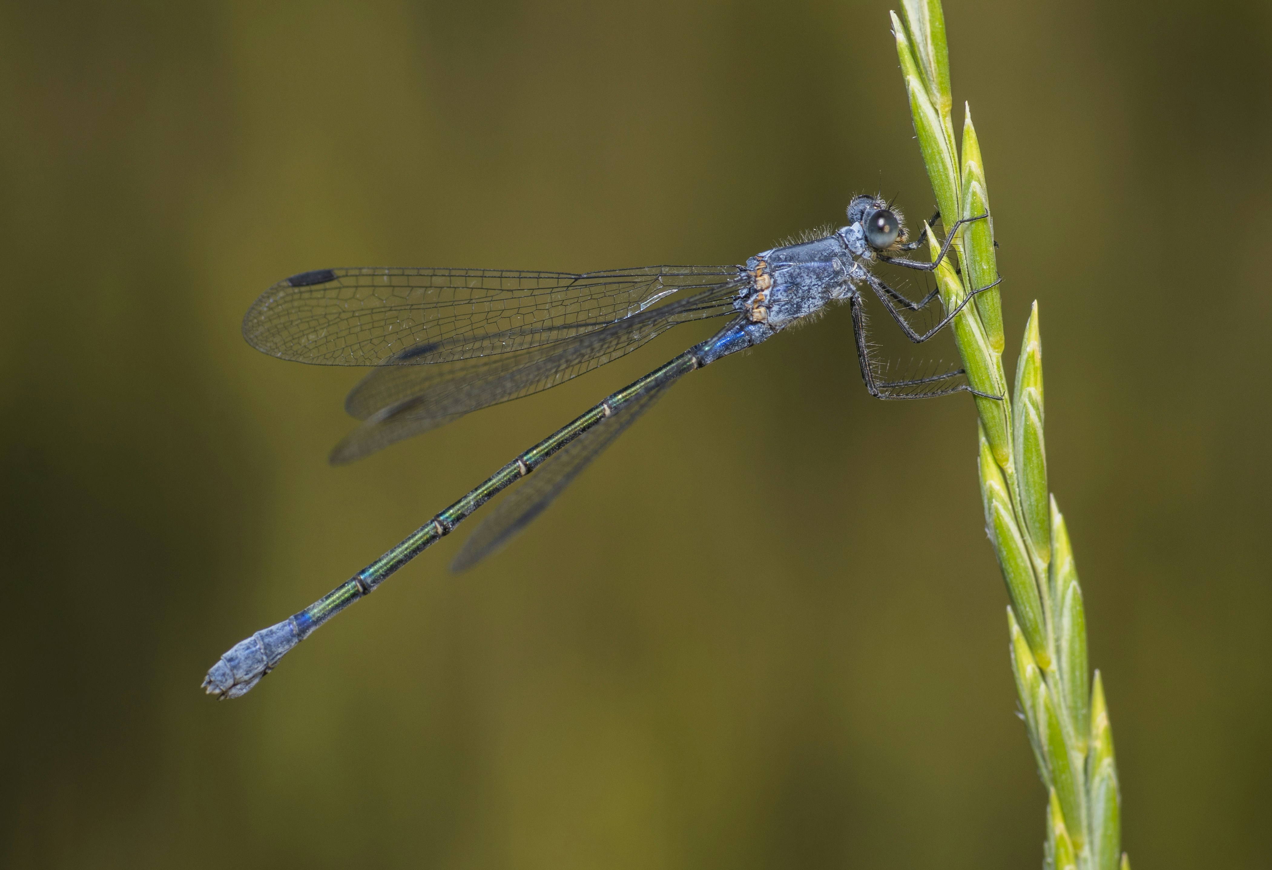 Photo by ashkan_dalir