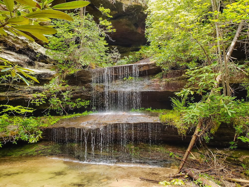 water falls in the middle of green trees