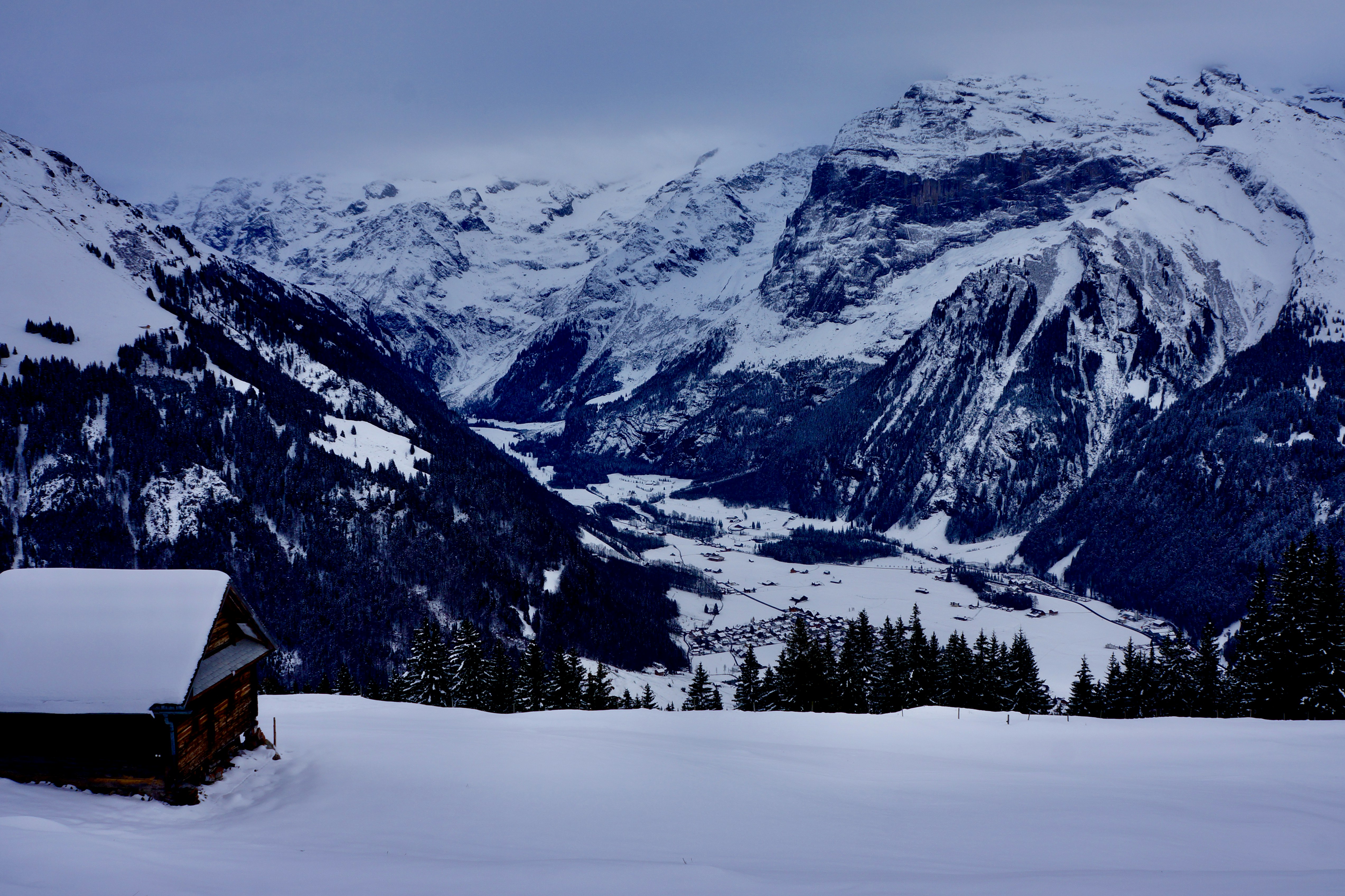 Photo by peterburdon