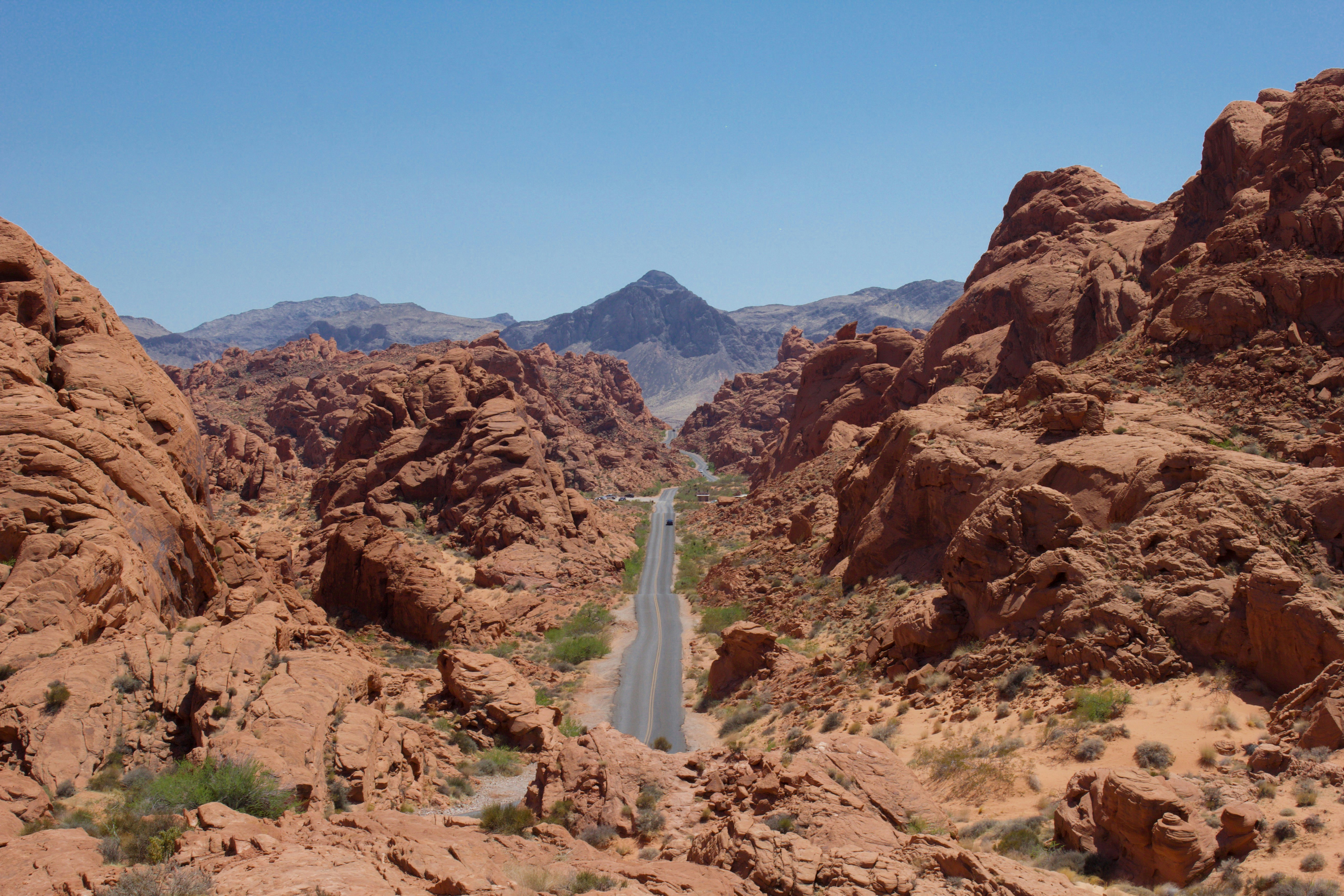 Photo by leslie_outofdoors