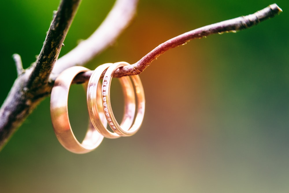 white steel wire on brown wooden stick