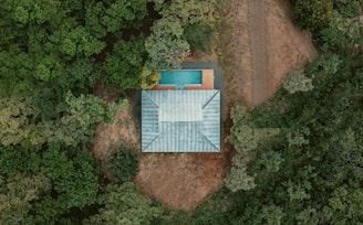 blue and white wooden house surrounded by green trees